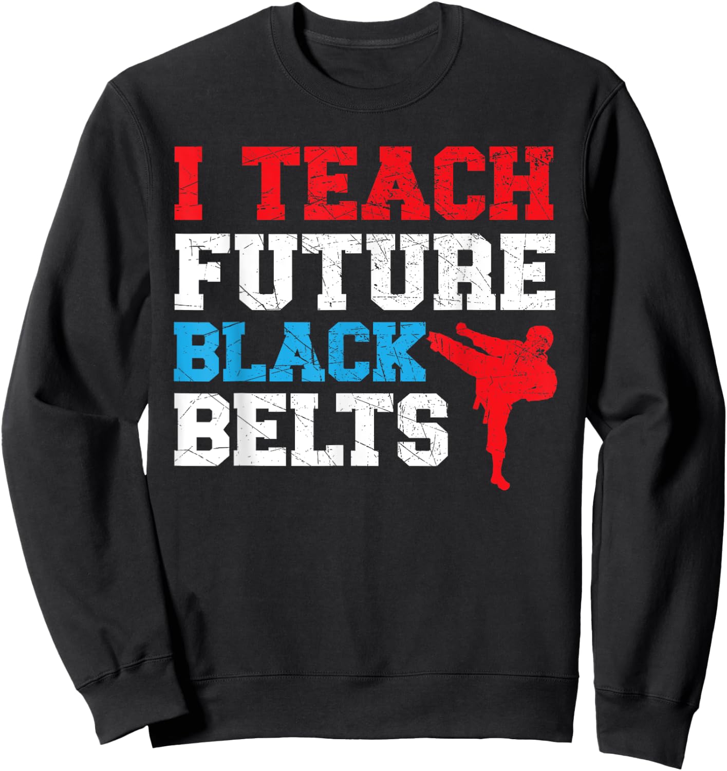 I Teach Future Black Belts Martial Arts Taekwondo Sweatshirt - Sweatshirt | Black