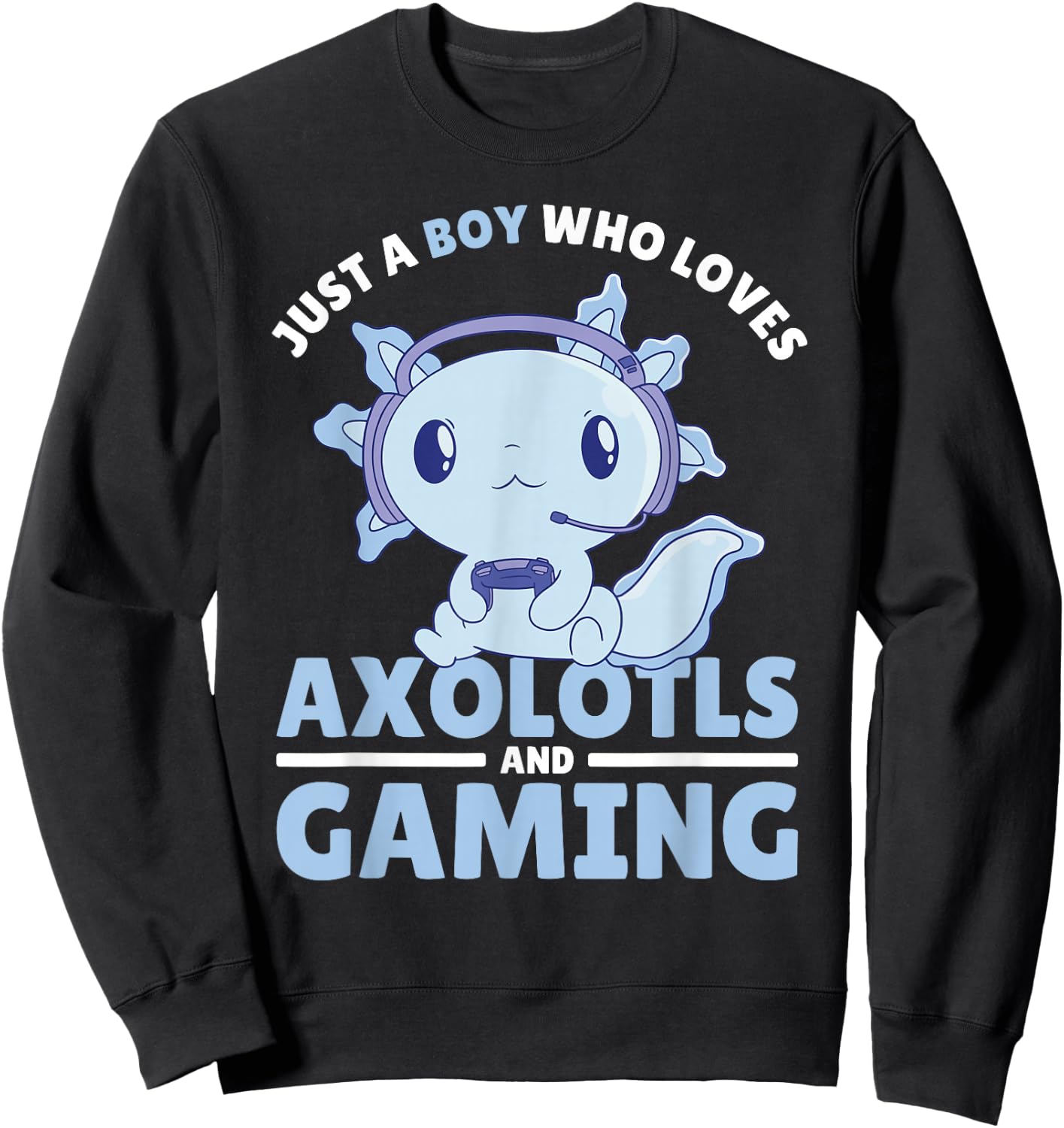 Just A Boy Who Loves Axolotls and Gaming Sweatshirt - Sweatshirt | Black