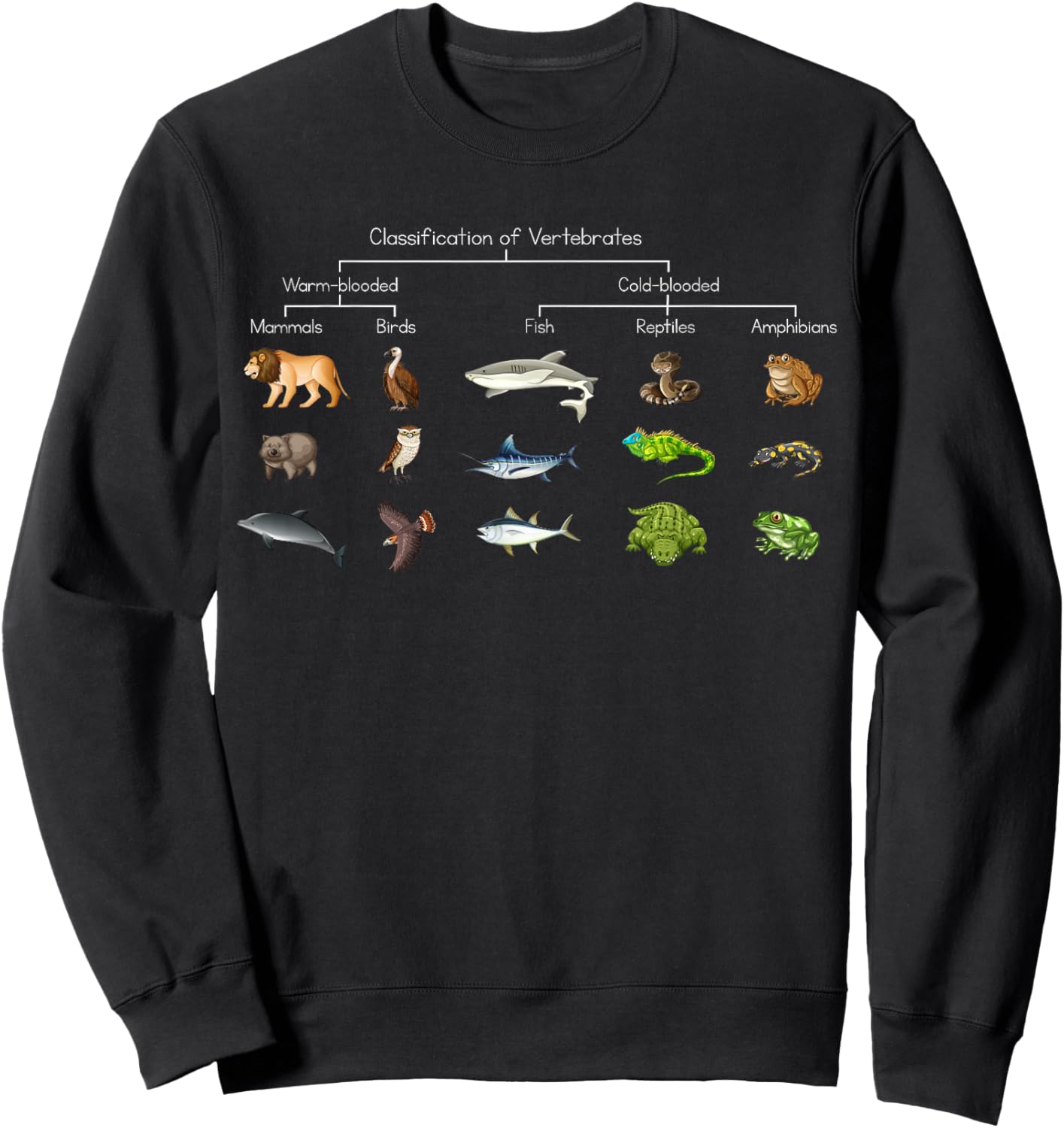 Diagram showing Classification of Vertebrates lover animals Sweatshirt - Sweatshirt | Black