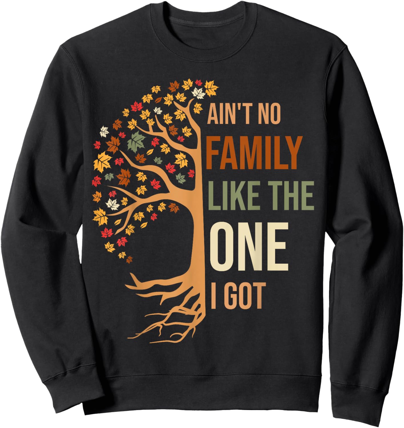 Ain't No Family Like The One I Got Funny Family Reunion 2024 Sweatshirt - Sweatshirt | Black