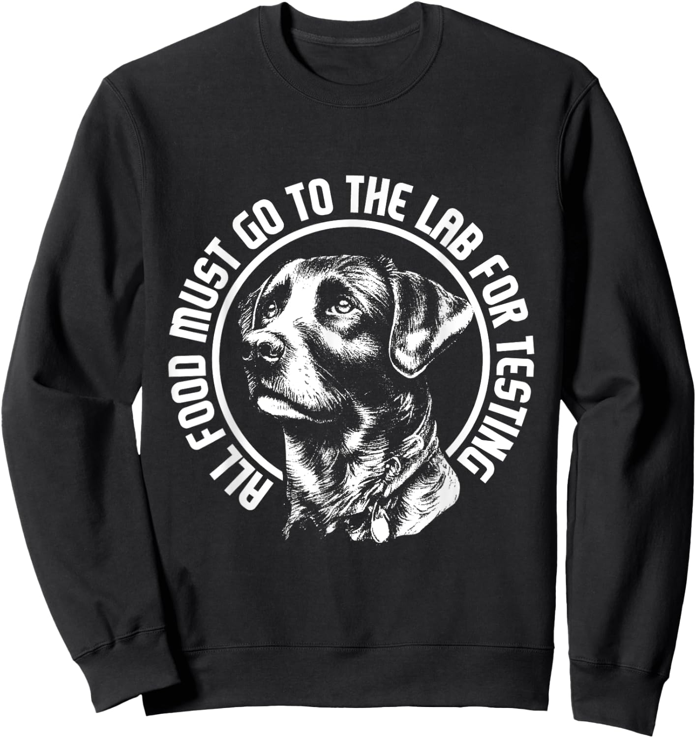 Celebrate Diversity - Labrador Owner Dog Lover Pet Lover Sweatshirt - Sweatshirt | Black