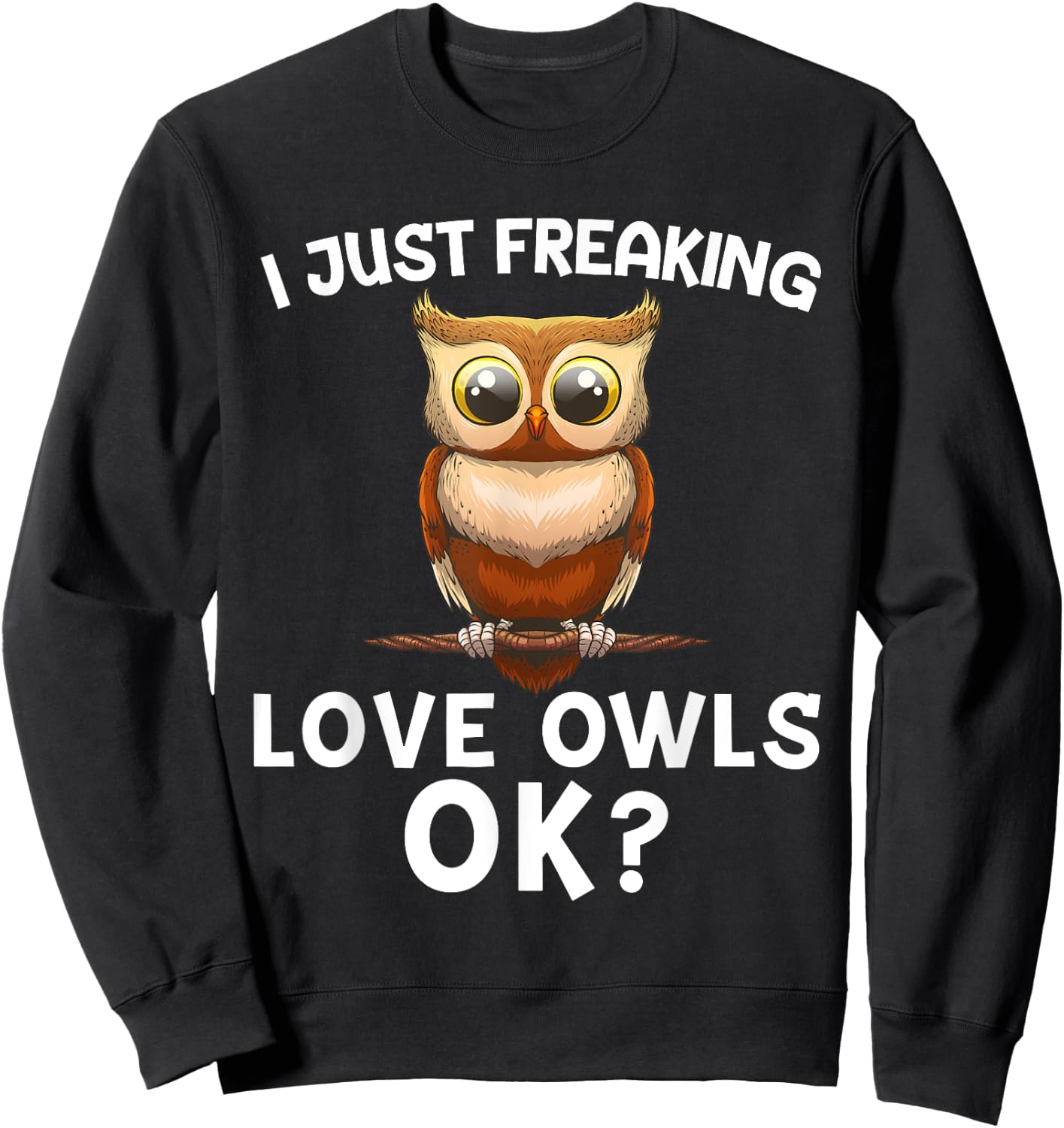 Cute Owl Design Women Bird Fan Ornithology Humor Sweatshirt - Sweatshirt | Black