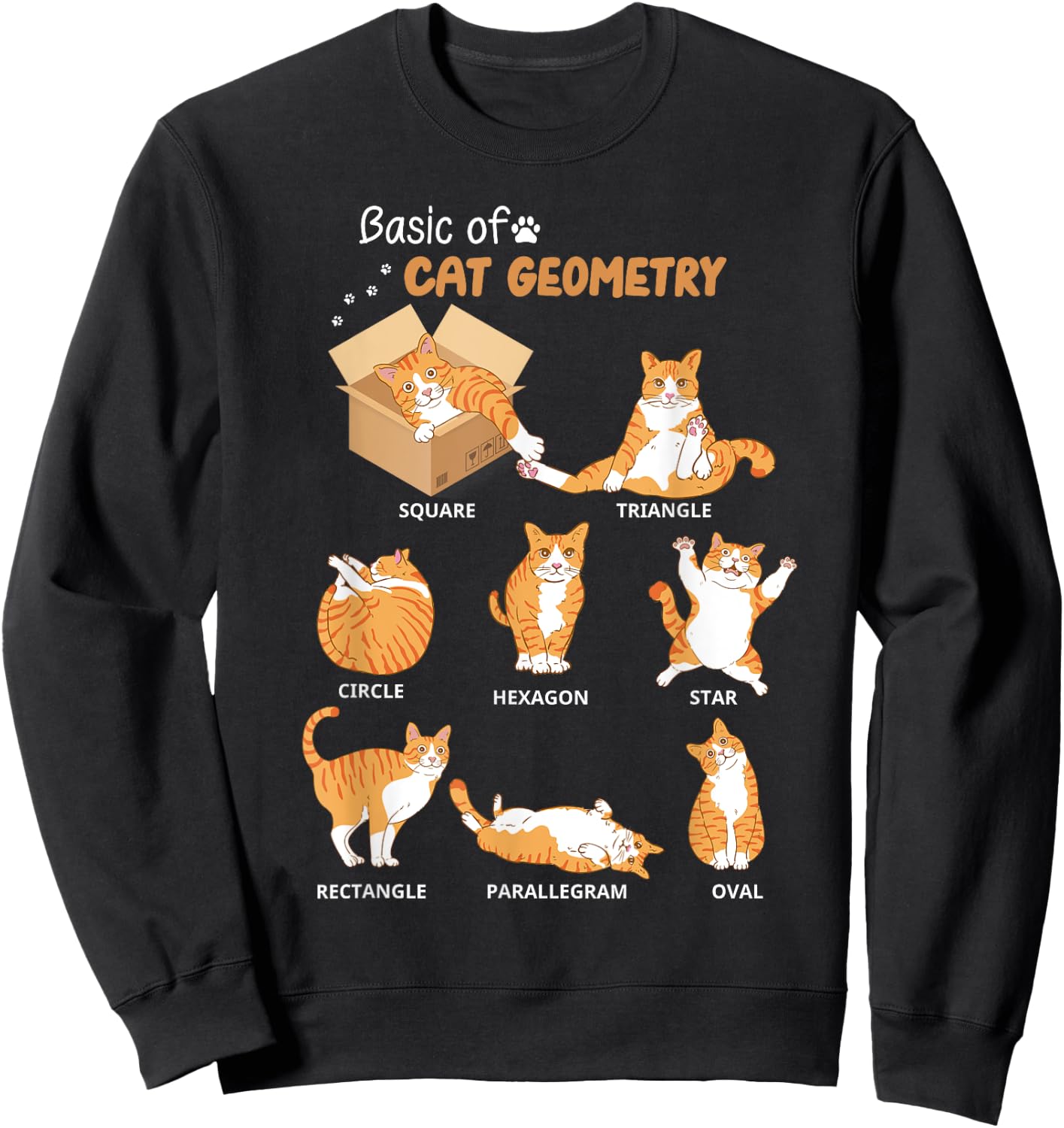 Basic Cat Geometry Cute Cat Lover Math School Women Kids Sweatshirt - Sweatshirt | Black