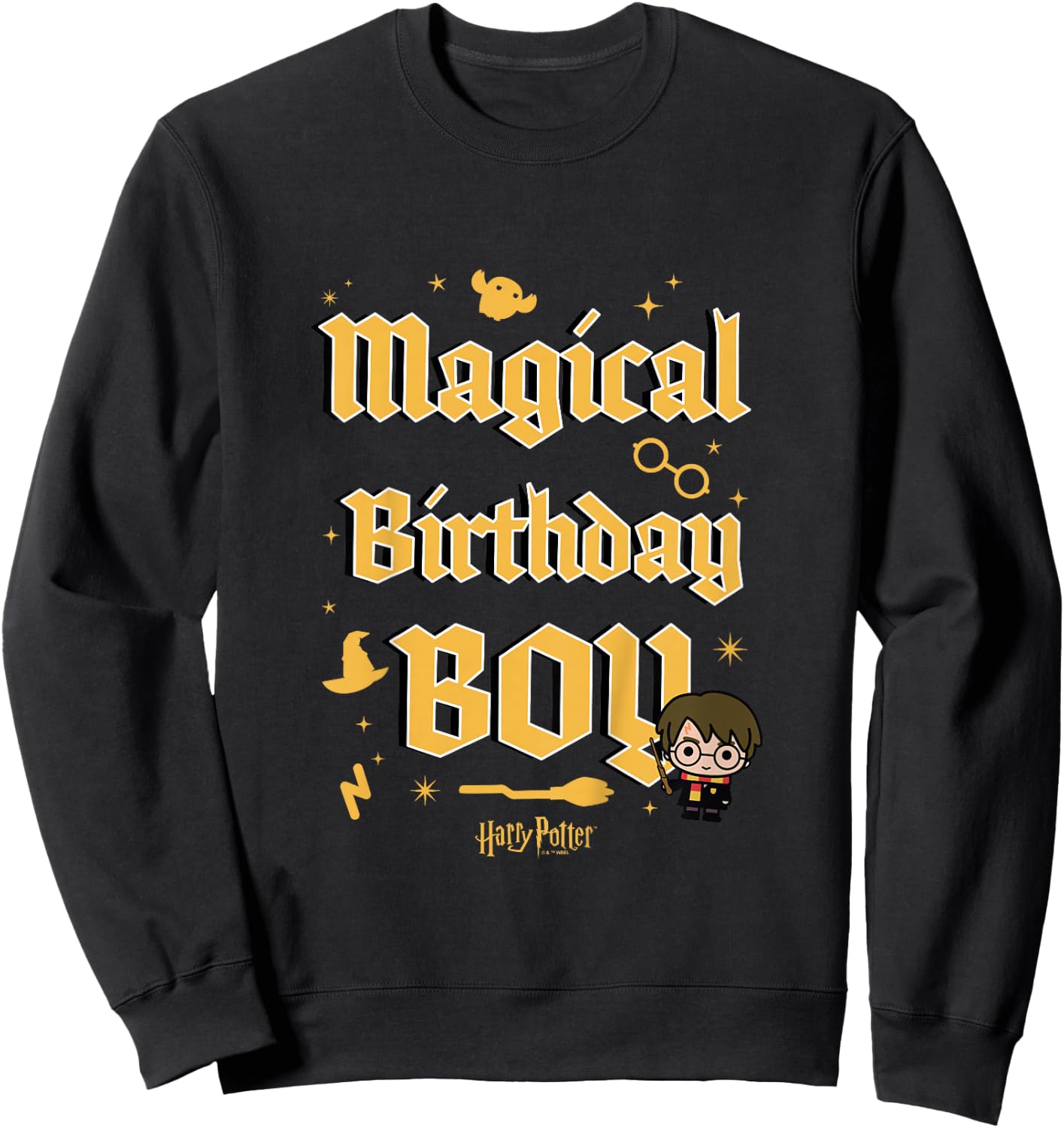 Kids Harry Potter Magical Birthday Boy Chibi Harry Poster Youth Sweatshirt - Sweatshirt | Black