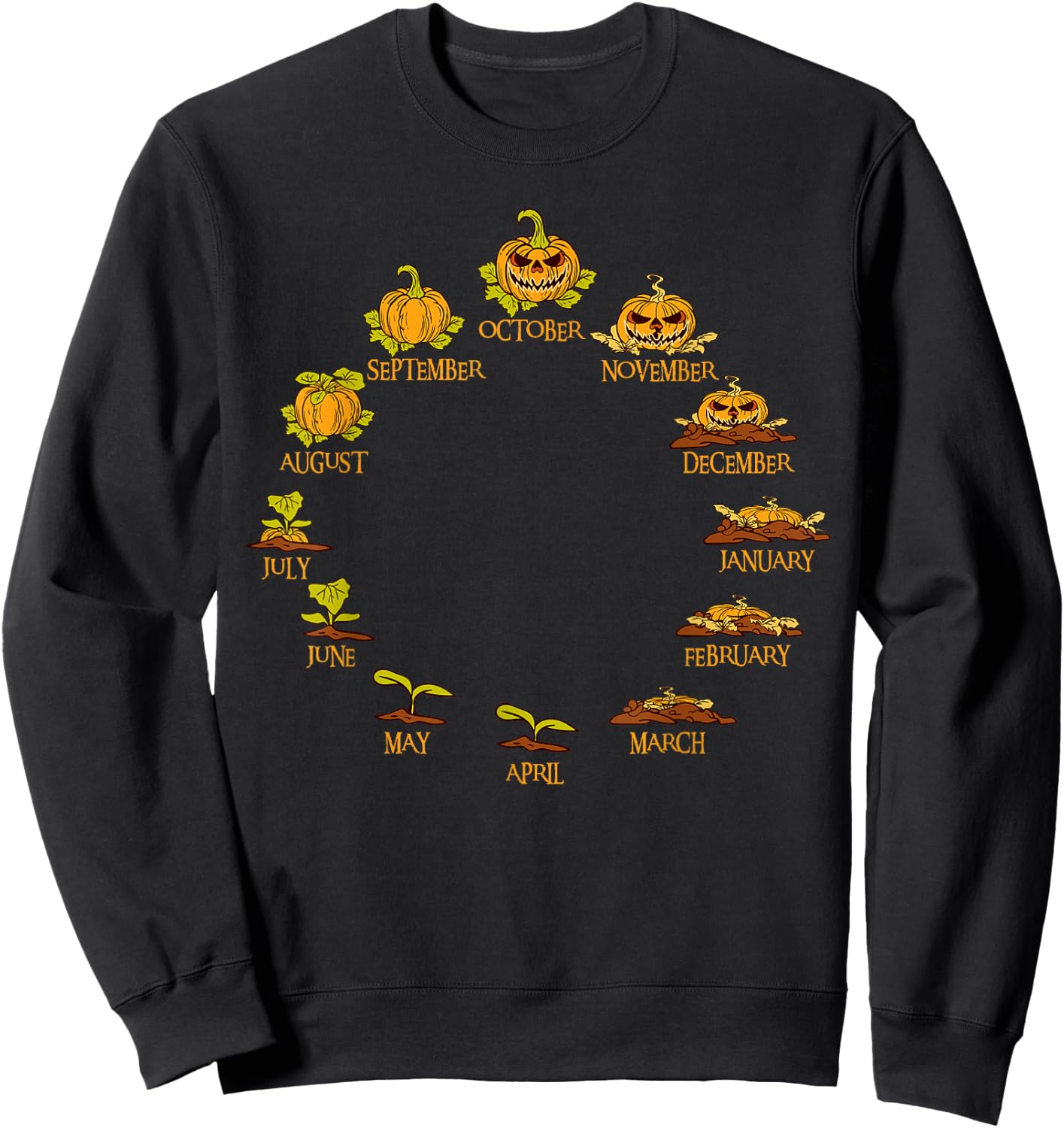 Pumpkin Life Cycle Year Months Thanksgiving Halloween Funny Sweatshirt - Sweatshirt | Black