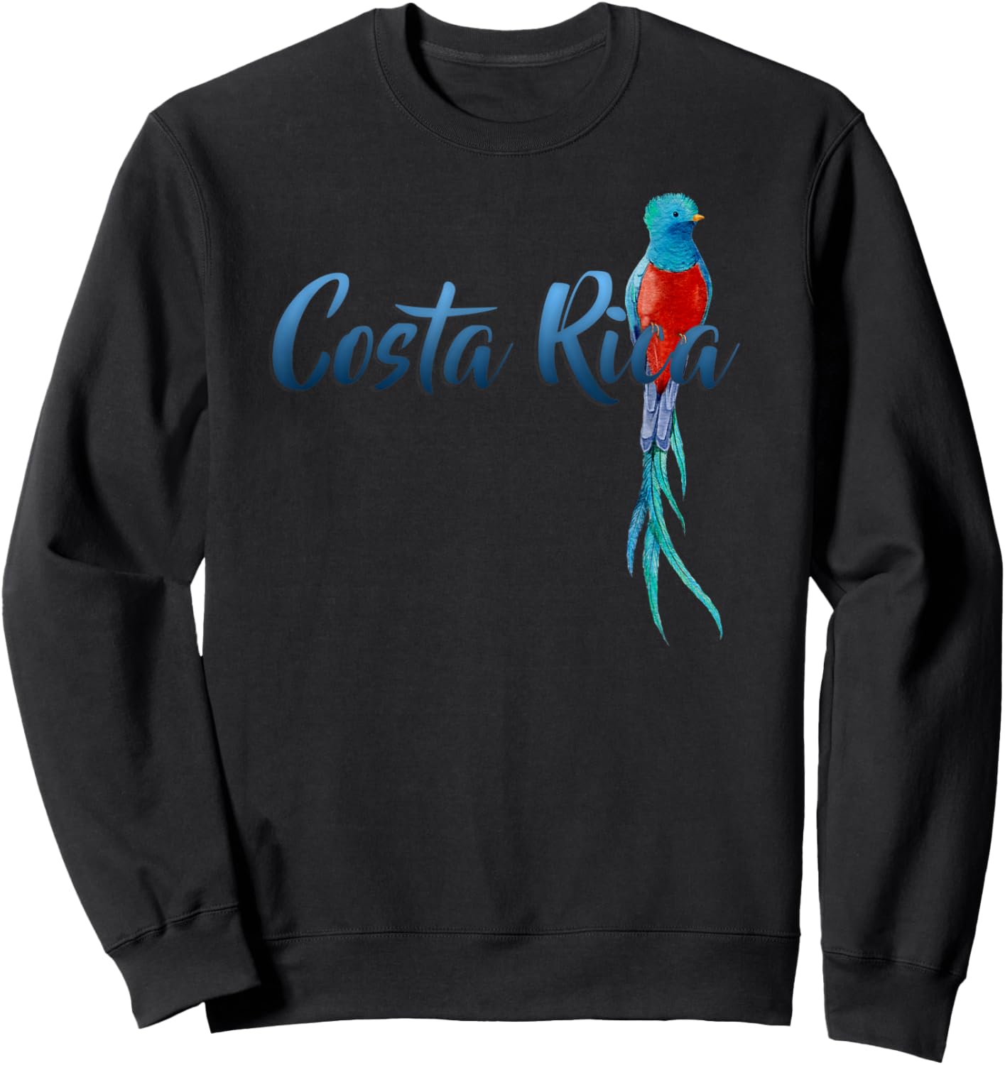 Costa Rica Quetzal Ornithologist Eco-Tourist Rainforest Bird Sweatshirt - Sweatshirt | Black