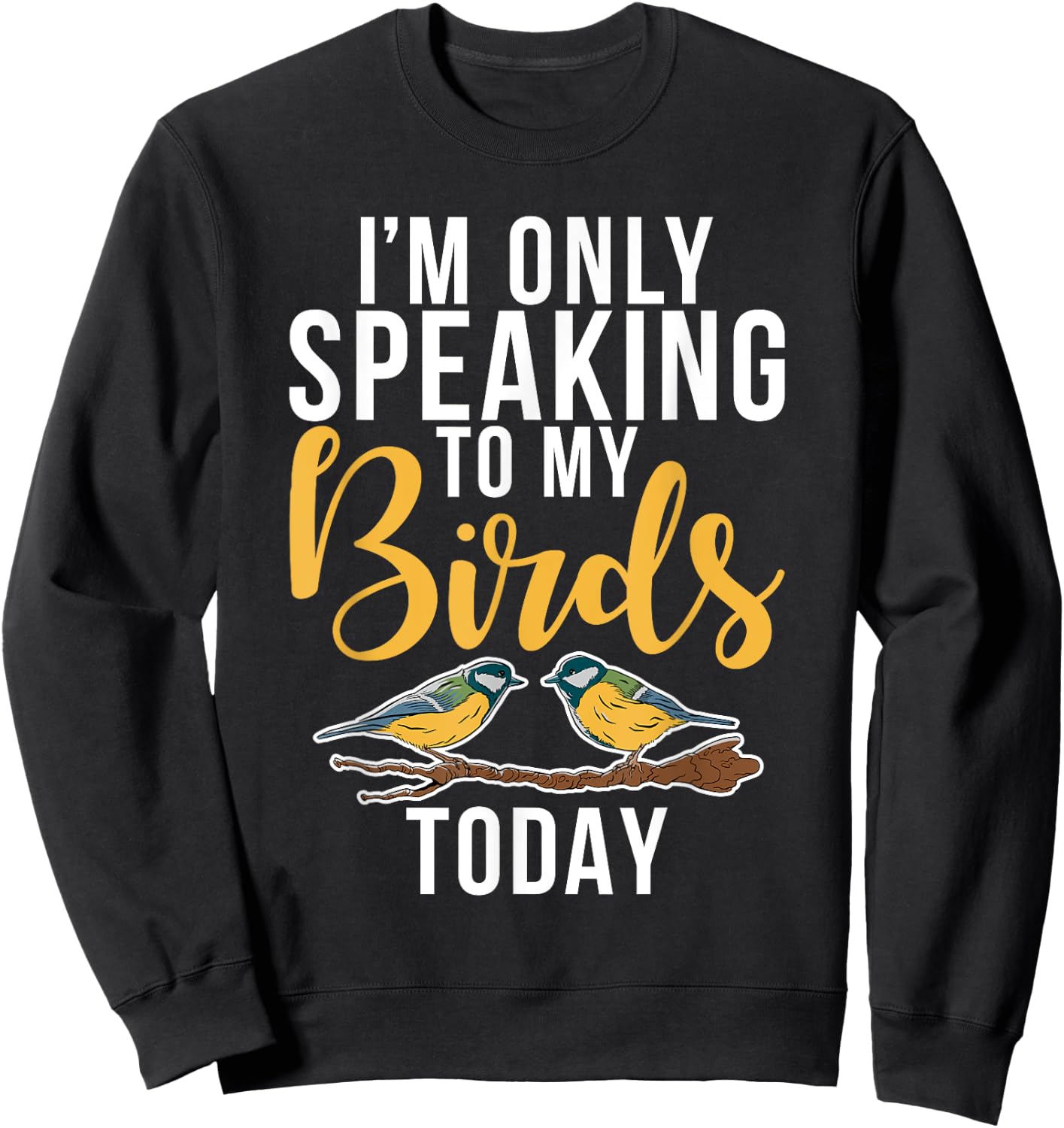 Im only speaking to my Birds today Bird Lover Sweatshirt - Sweatshirt | Black
