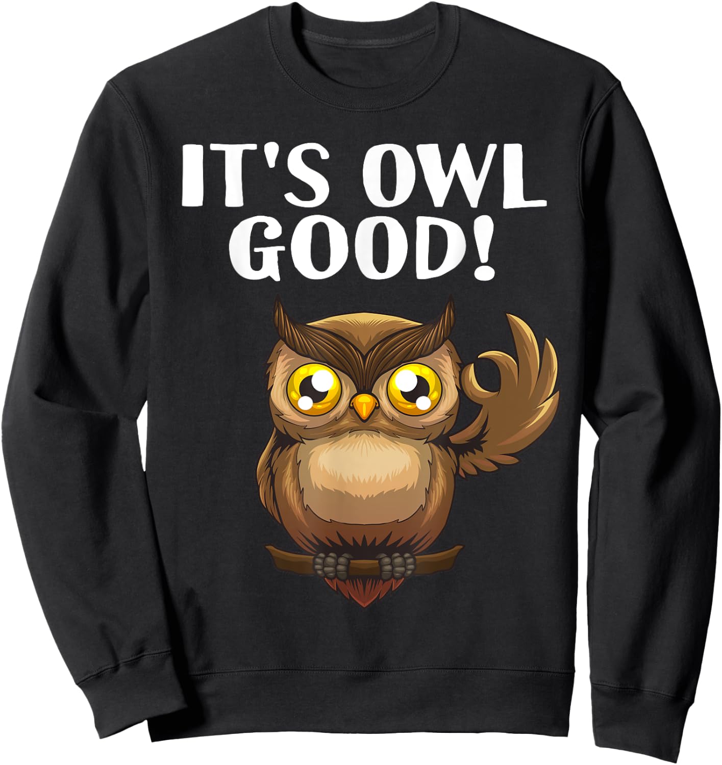 Cute Owl Design Women Nocturnal Bird Zoo Owl Lover Sweatshirt - Sweatshirt | Black