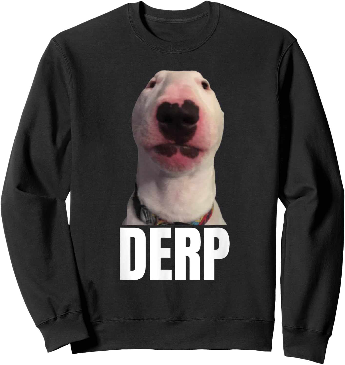 Derp - Funny Cringe Meme Dog DERP Trendy Teenager Slang Men Women Sweatshirt - Sweatshirt | Black