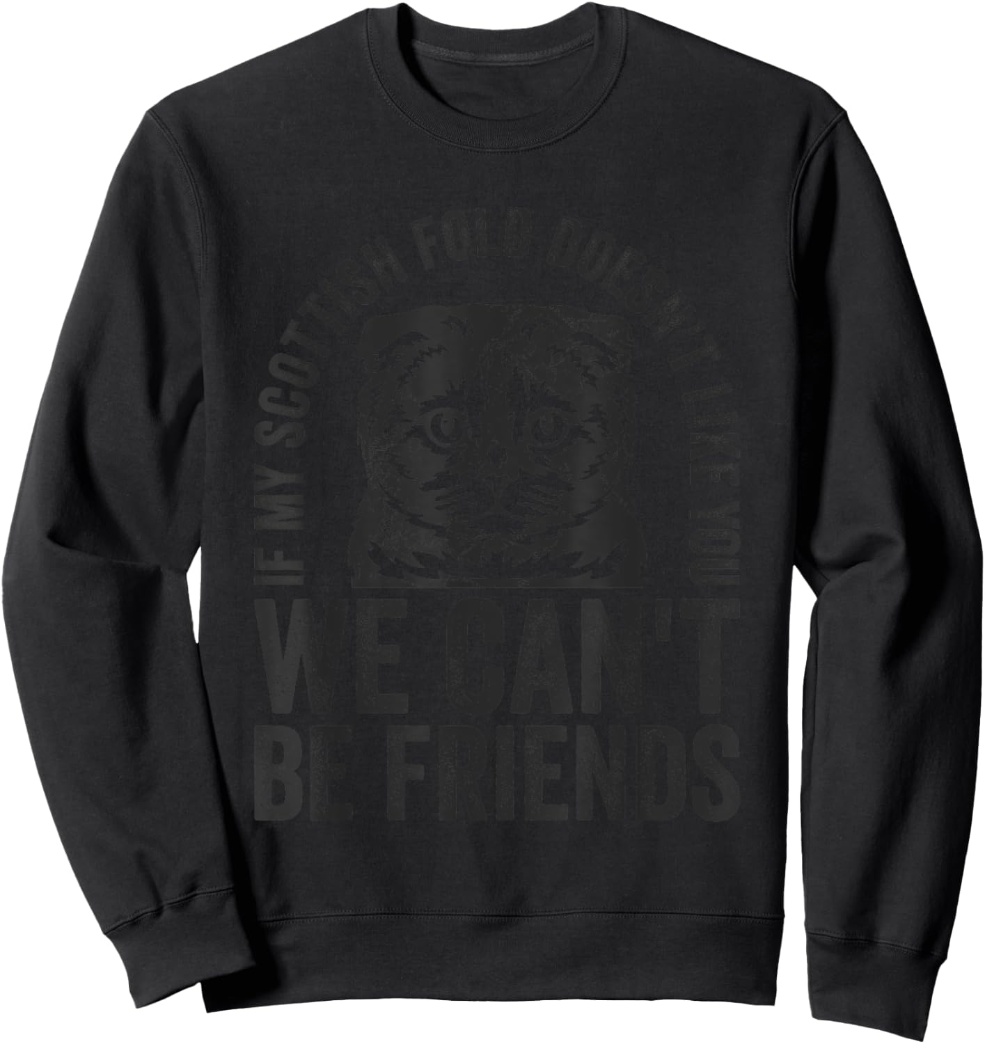 Funny Scottish Fold Cat Owner Doesn't Like You Pet Joke Men Women Sweatshirt - Sweatshirt | Black