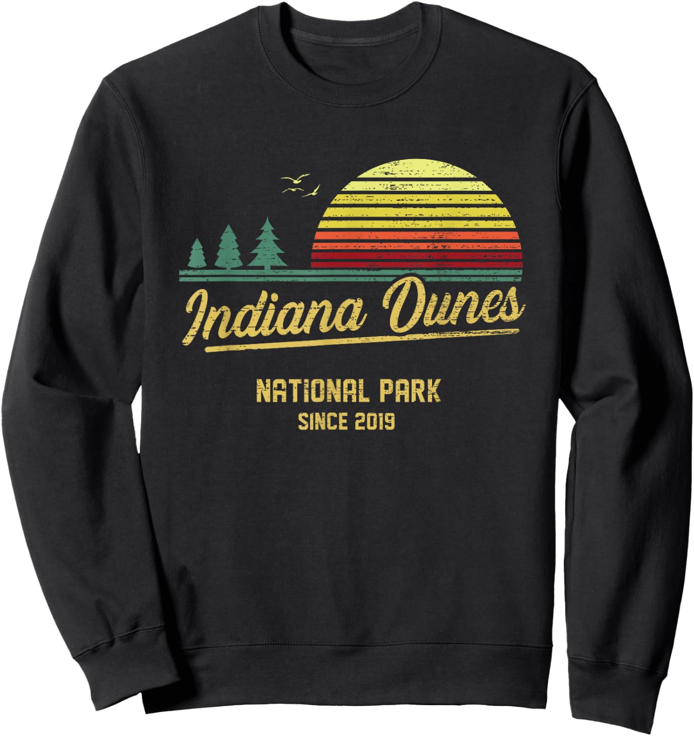 Indiana Dunes 2019 EST National Park Vintage Retro Outdoor C Sweatshirt - Sweatshirt | Black