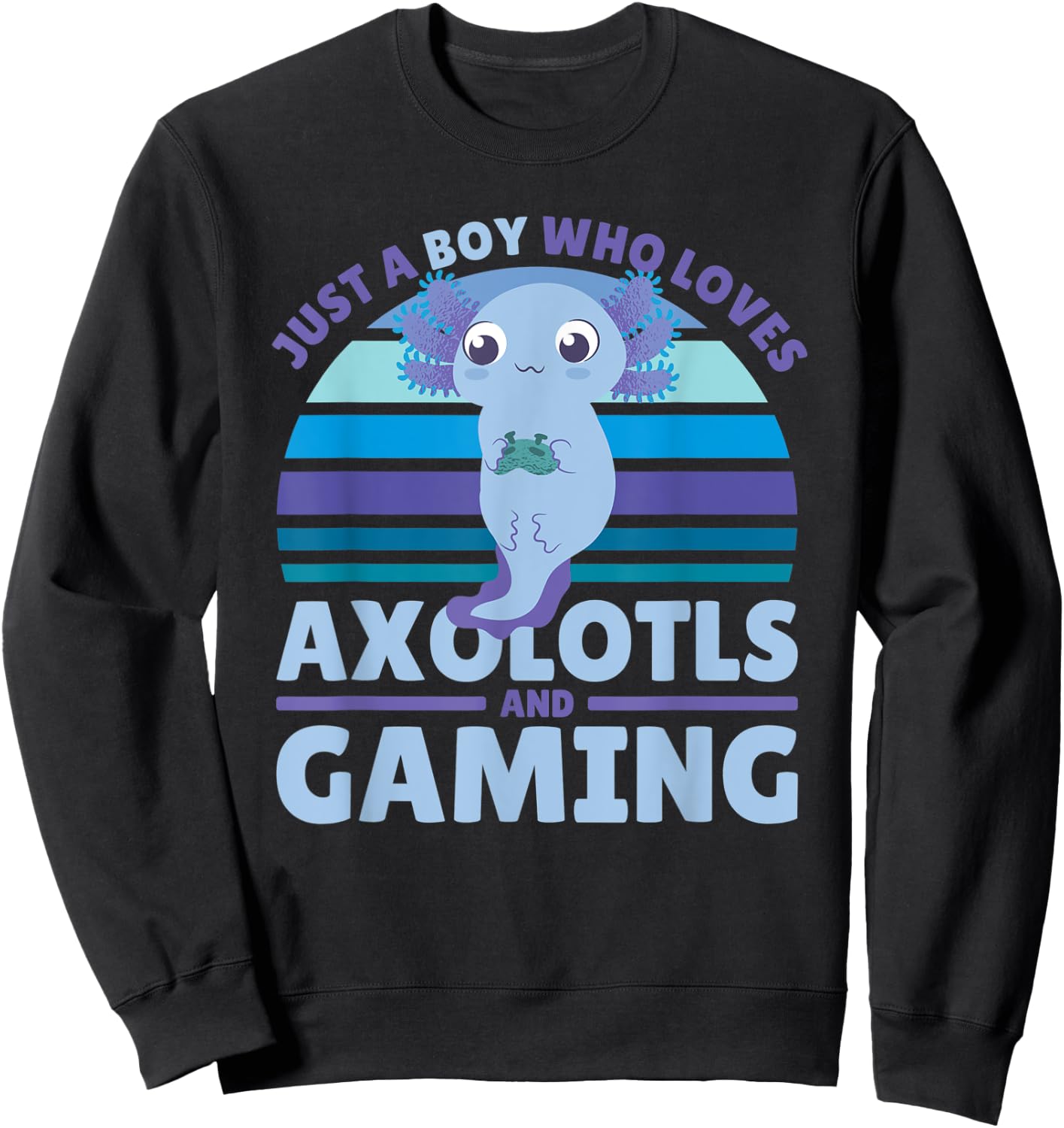 Just A Boy Who Loves Axolotls And Gaming Sweatshirt - Sweatshirt | Black