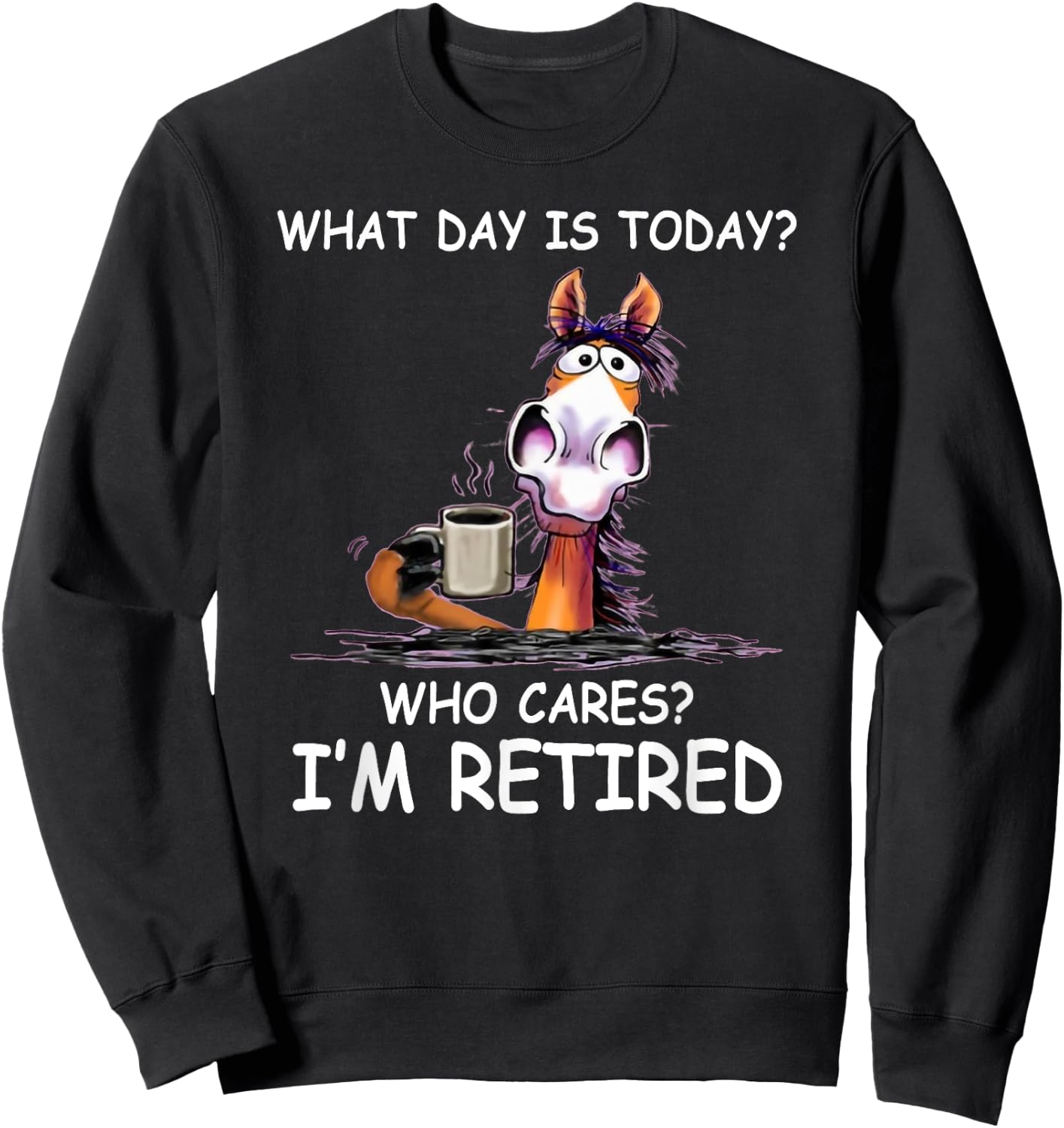What Day is Today Who Cares I’m Retired Funny Horse Sweatshirt - Sweatshirt | Black