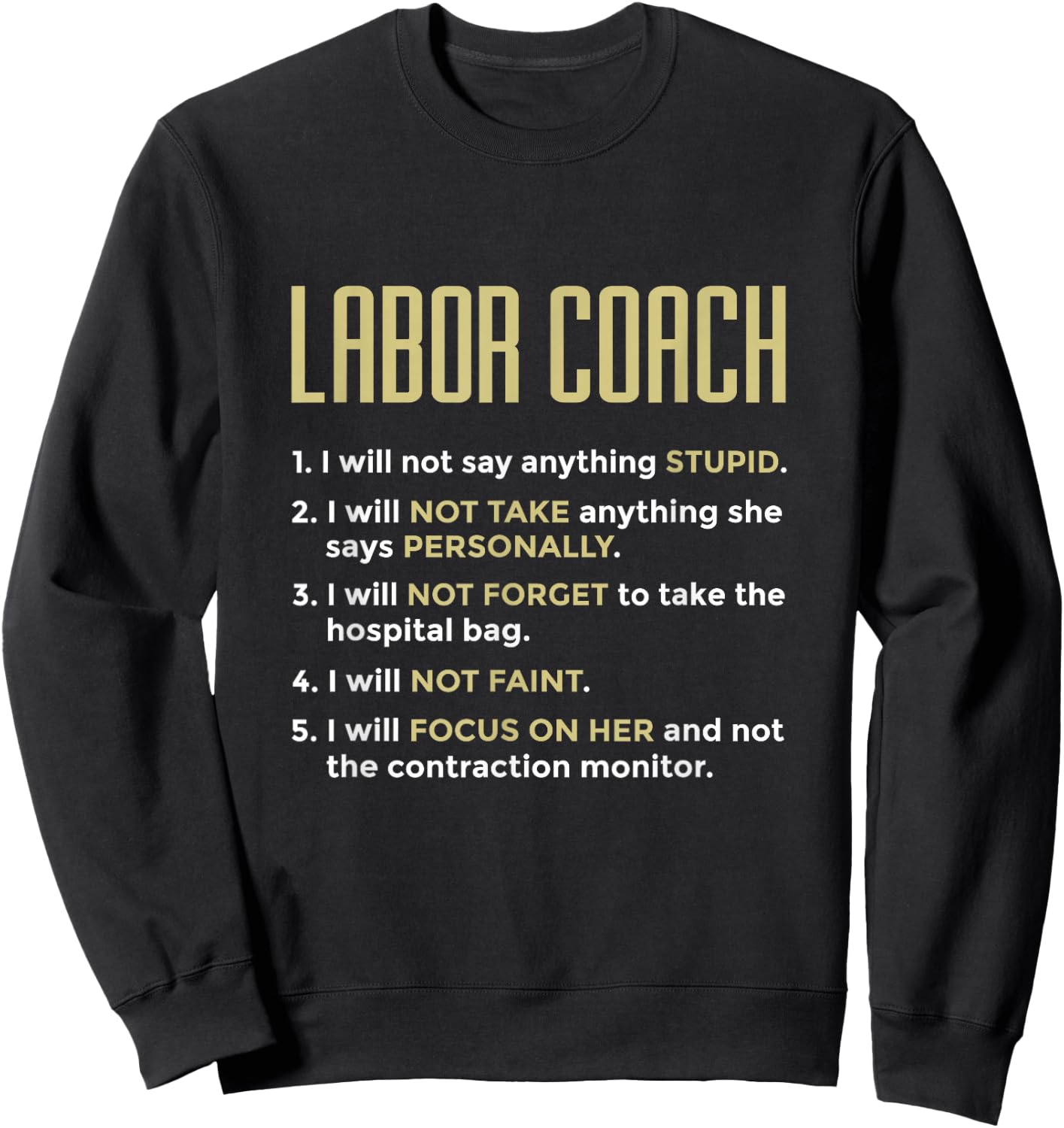 Labor Coach Expecting Future Dad New Father Delivery Nurse Sweatshirt - Sweatshirt | Black