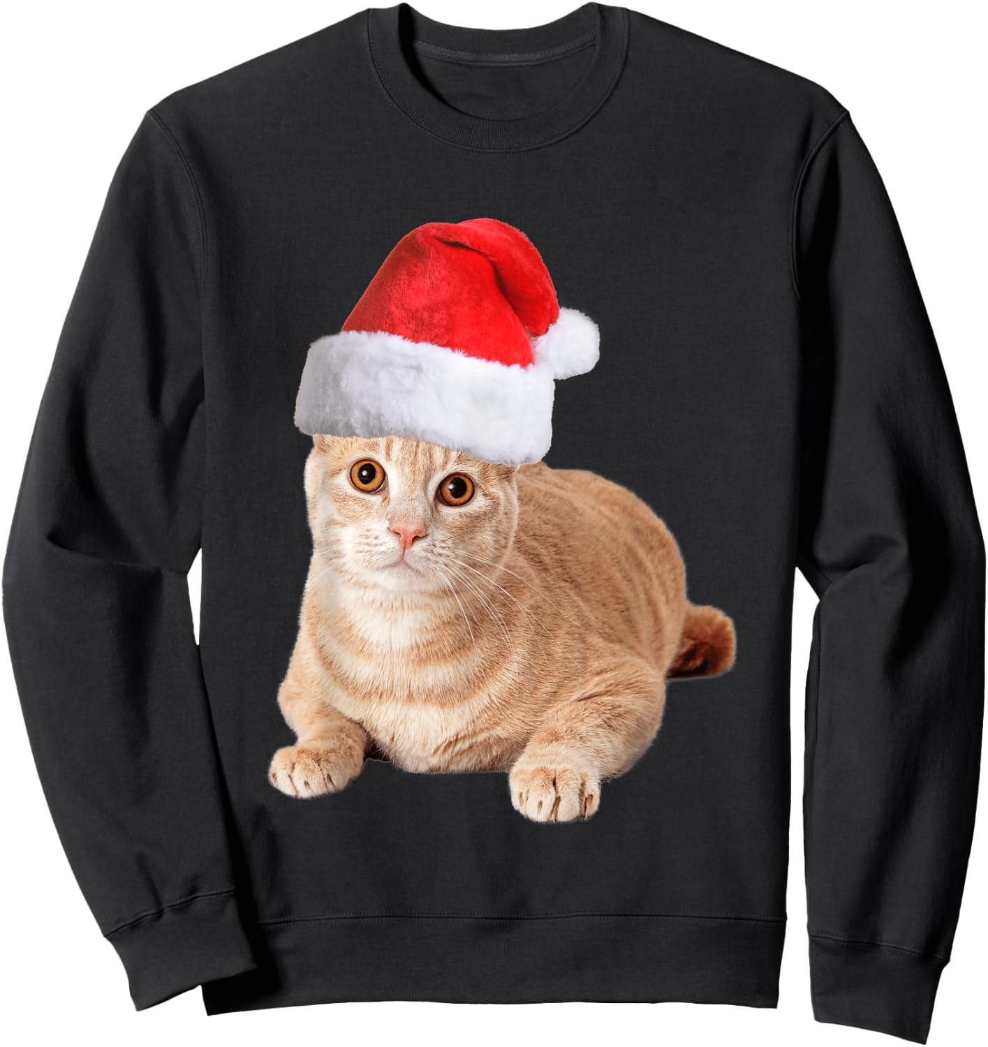 Orange Tabby Cat With Christmas Santa Hat Men Sweatshirt - Sweatshirt | Black