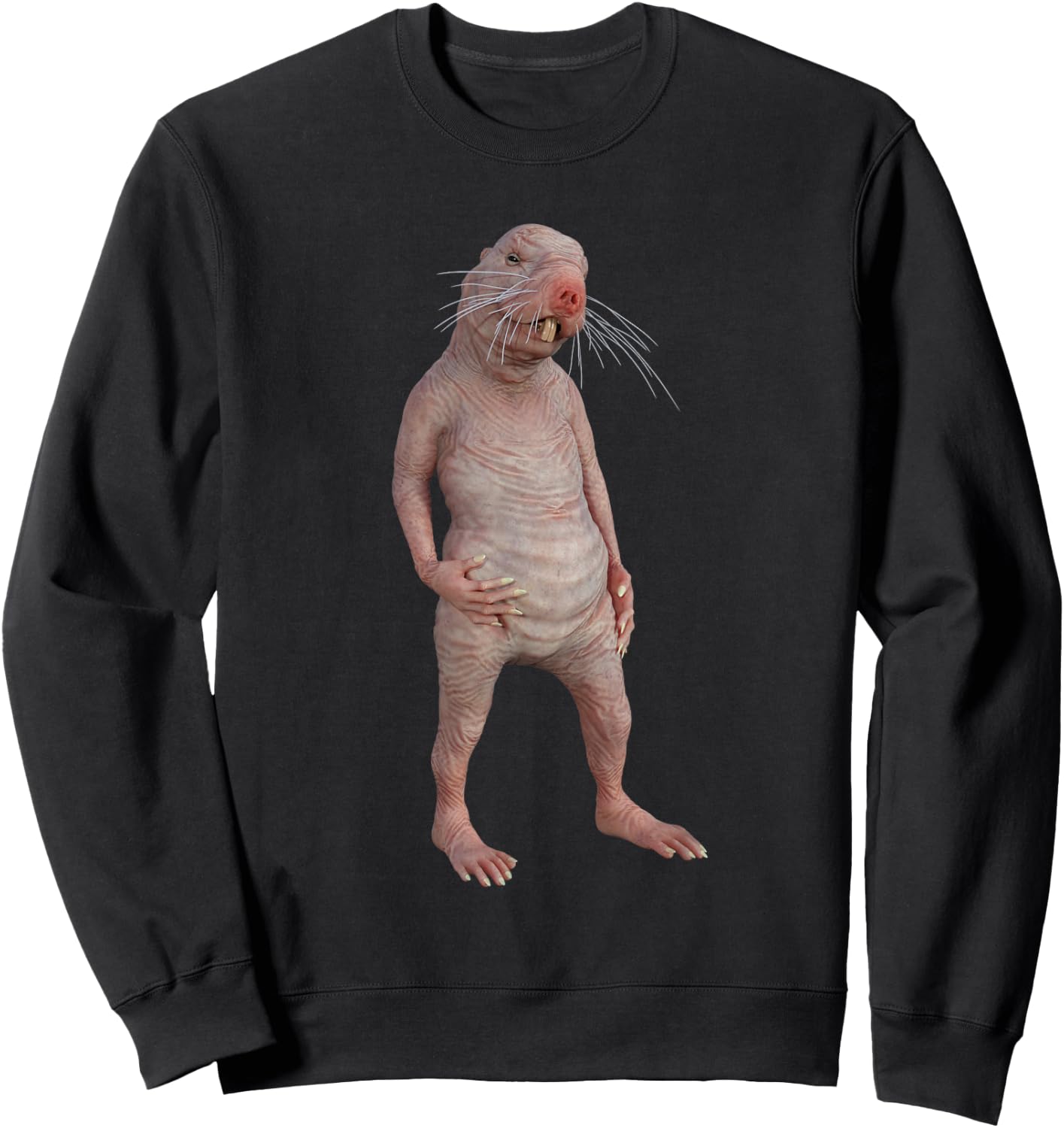 Funny Naked Mole-Rat Zookeeper Safari Animal Lover Mole Rat Sweatshirt - Sweatshirt | Black