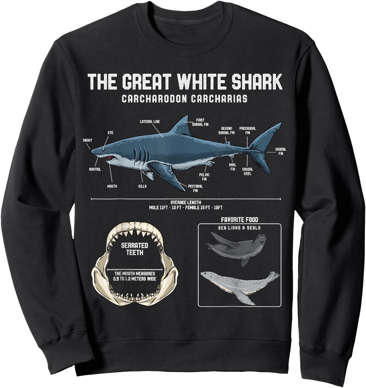 Great White Shark Anatomy Shirt - Shark Marine Biologist Sweatshirt - Sweatshirt | Black
