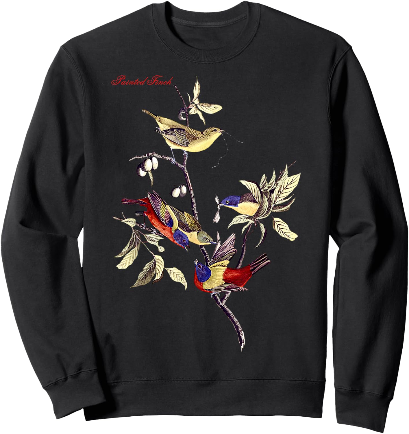 Audubon Painted Finch North American Birds Education Nature Sweatshirt - Sweatshirt | Black