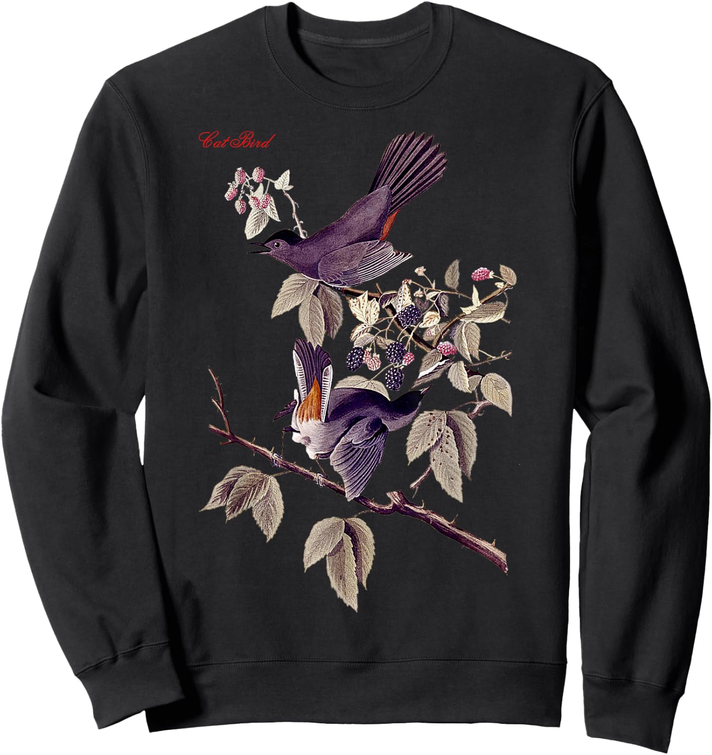 Audubon Cat Bird North American Birds Education Nature Sweatshirt - Sweatshirt | Black
