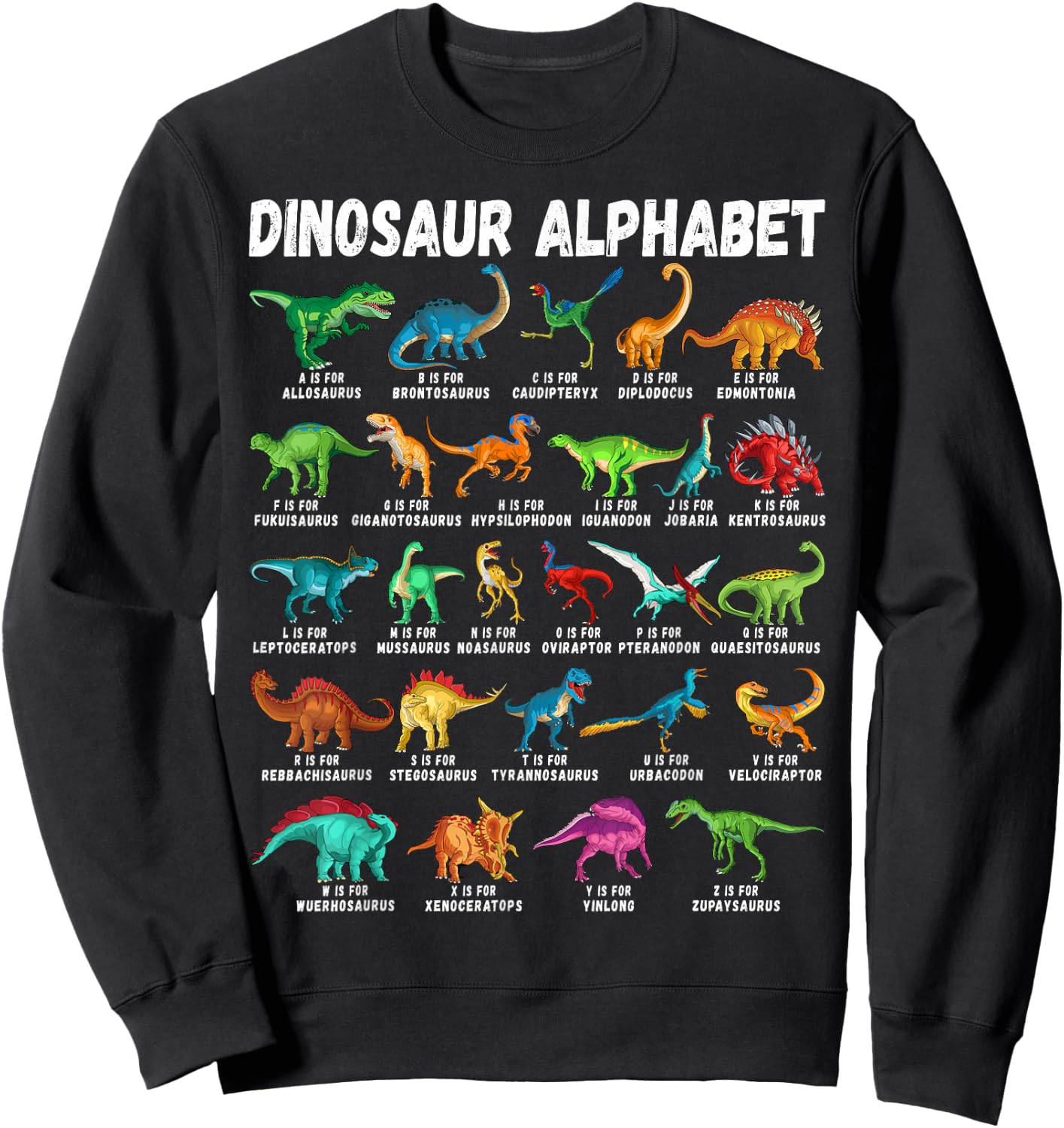 Types Of Dinosaurs Alphabet A-Z ABC Dino Identification Sweatshirt - Sweatshirt | Black