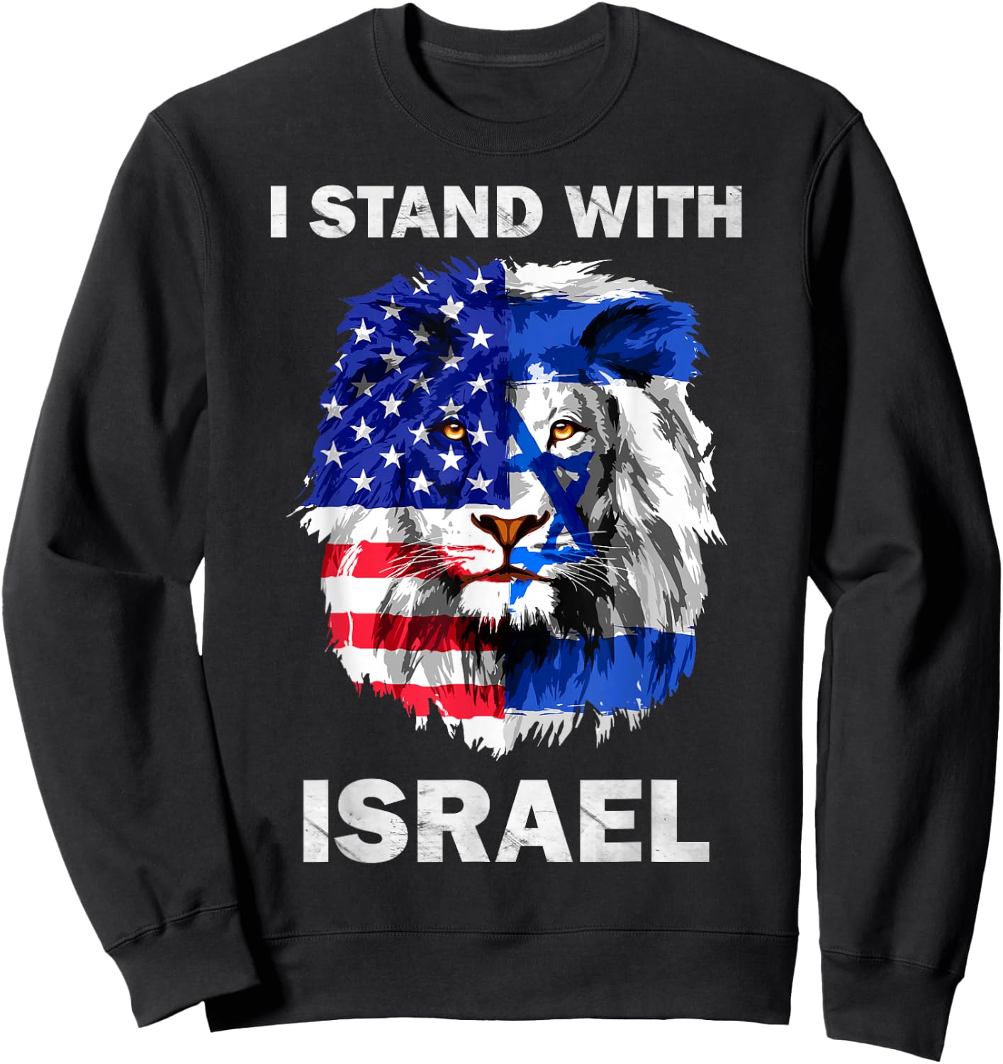 Israel and USA Flag Lion | I Stand with Israel Sweatshirt - Sweatshirt | Black