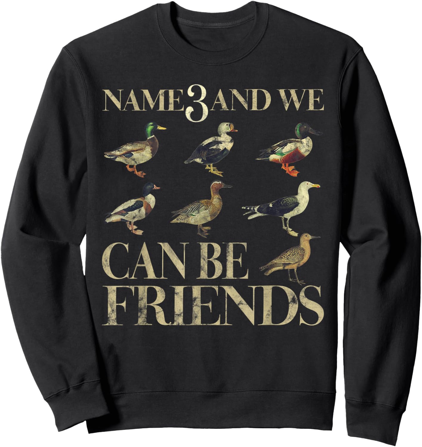 Name 3 And We Can Be Friends Funny Duck Sweatshirt - Sweatshirt | Black