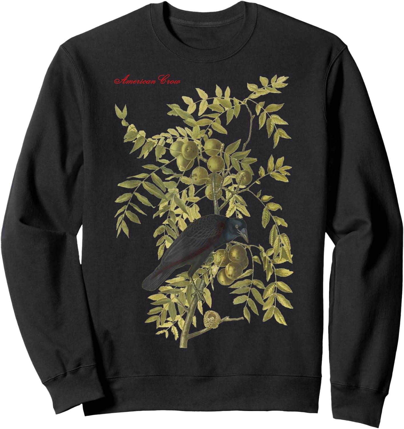 Audubon American Crow Education Nature Sweatshirt - Sweatshirt | Black