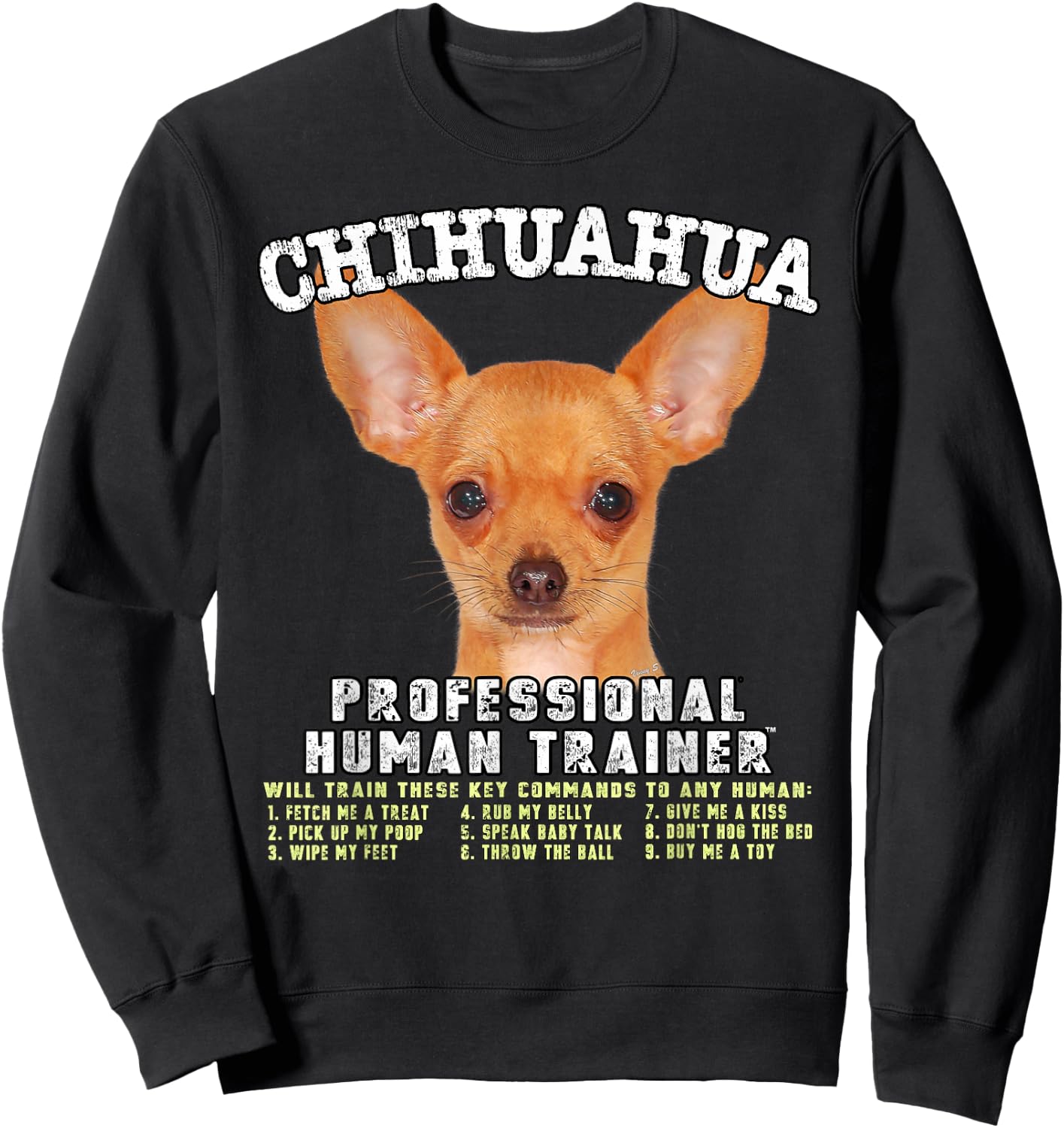 Kitana Chihuahua Dog Themed , -Adults, Black, Small, Short Sleeve, Cotton, Classic Fit, Modern Classic, Chihuahua Sweatshirt - Sweatshirt | Black