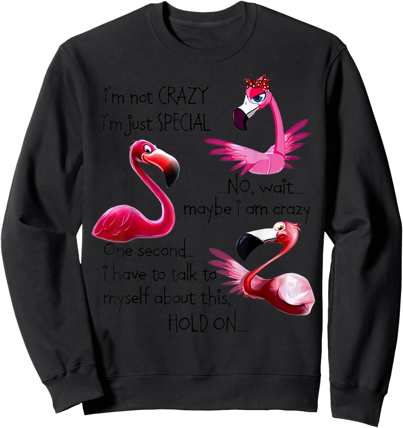 Flamingo I’m Not Crazy I’m Just Special No Wait Maybe Sweatshirt - Sweatshirt | Black