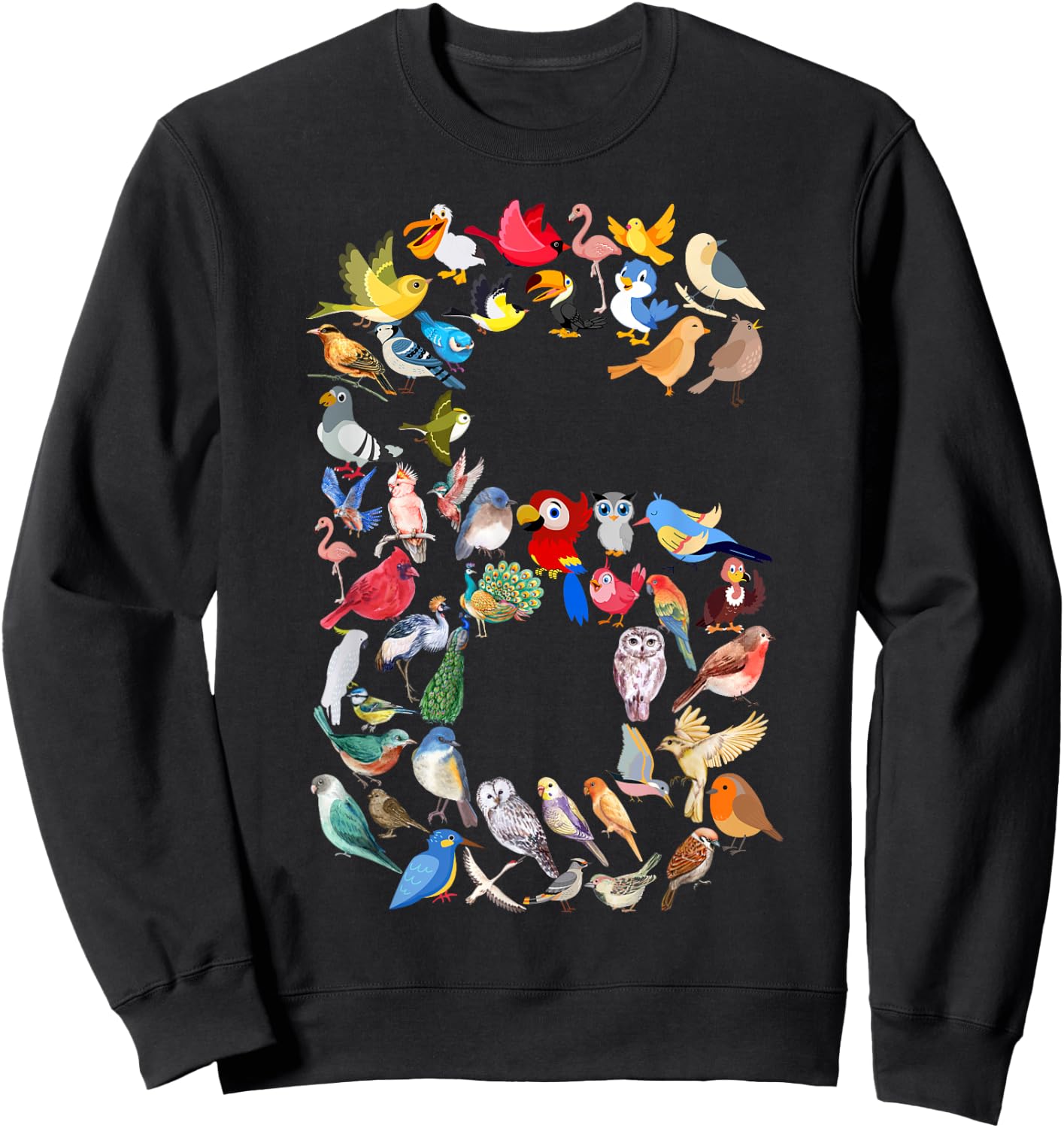 Kids 6th Birthday Birds Themed 6 Year Old Boys Bird Lover Sweatshirt - Sweatshirt | Black