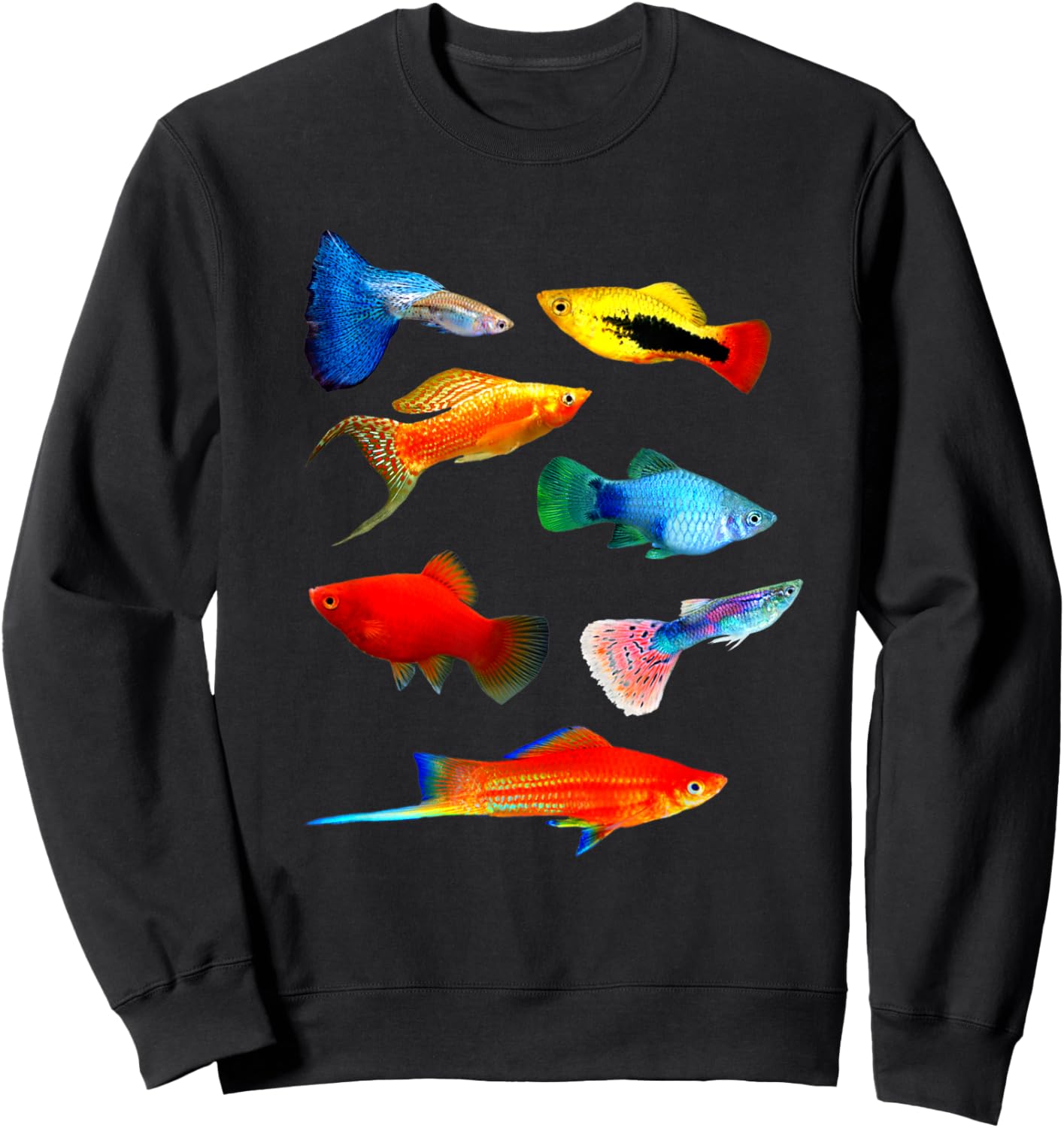 Live Bearers Fish Mollies Swordtails Guppies Platy Fish Sweatshirt - Sweatshirt | Black
