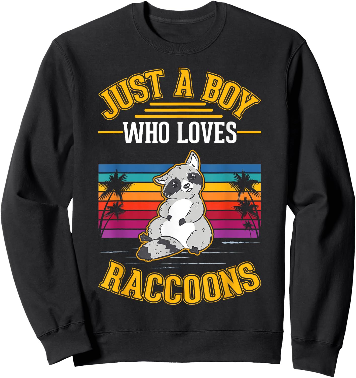 Just a boy who loves Raccoons Sweatshirt - Sweatshirt | Black