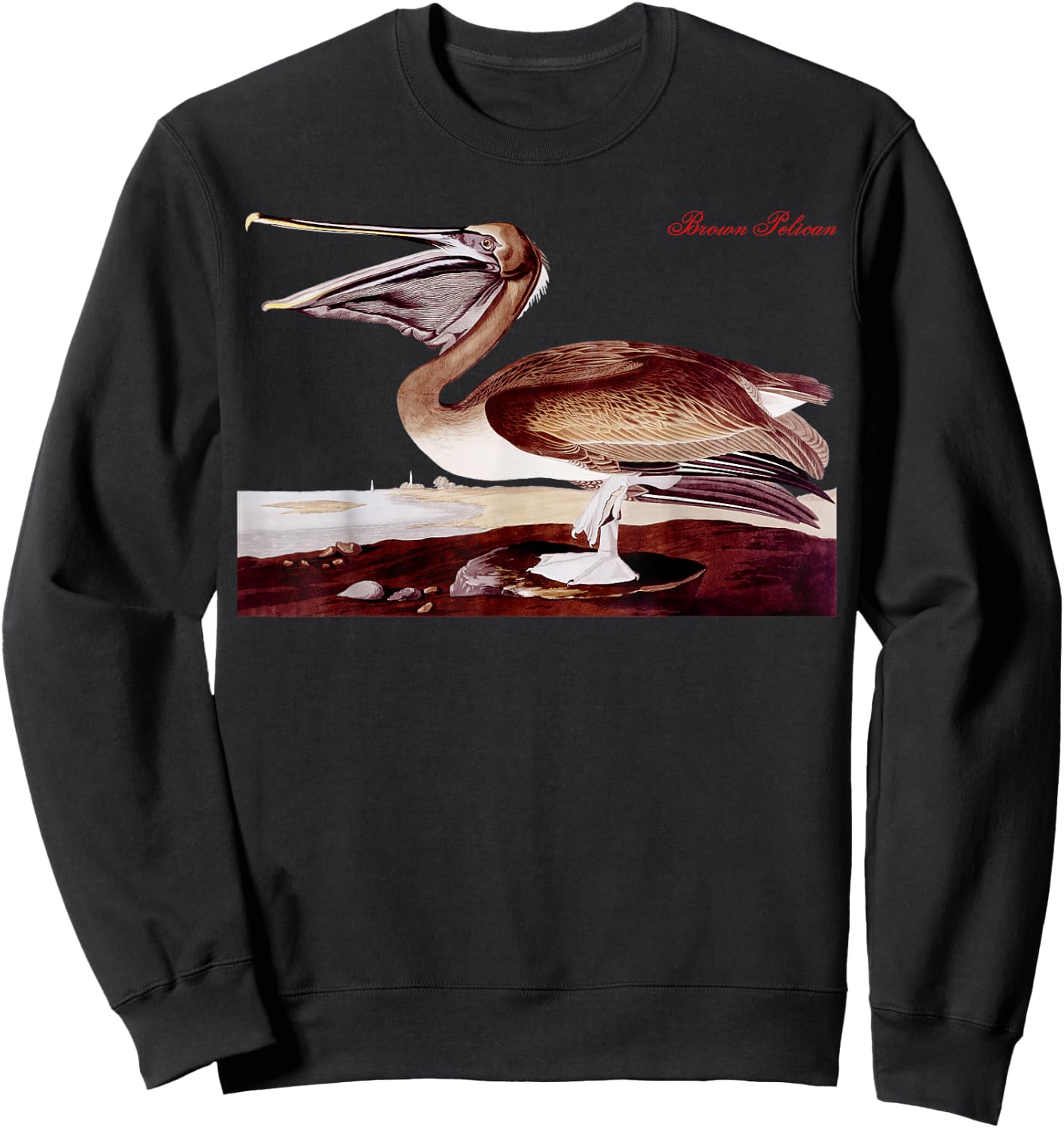 Audubon Brown Pelican North American Birds Education Nature Sweatshirt - Sweatshirt | Black