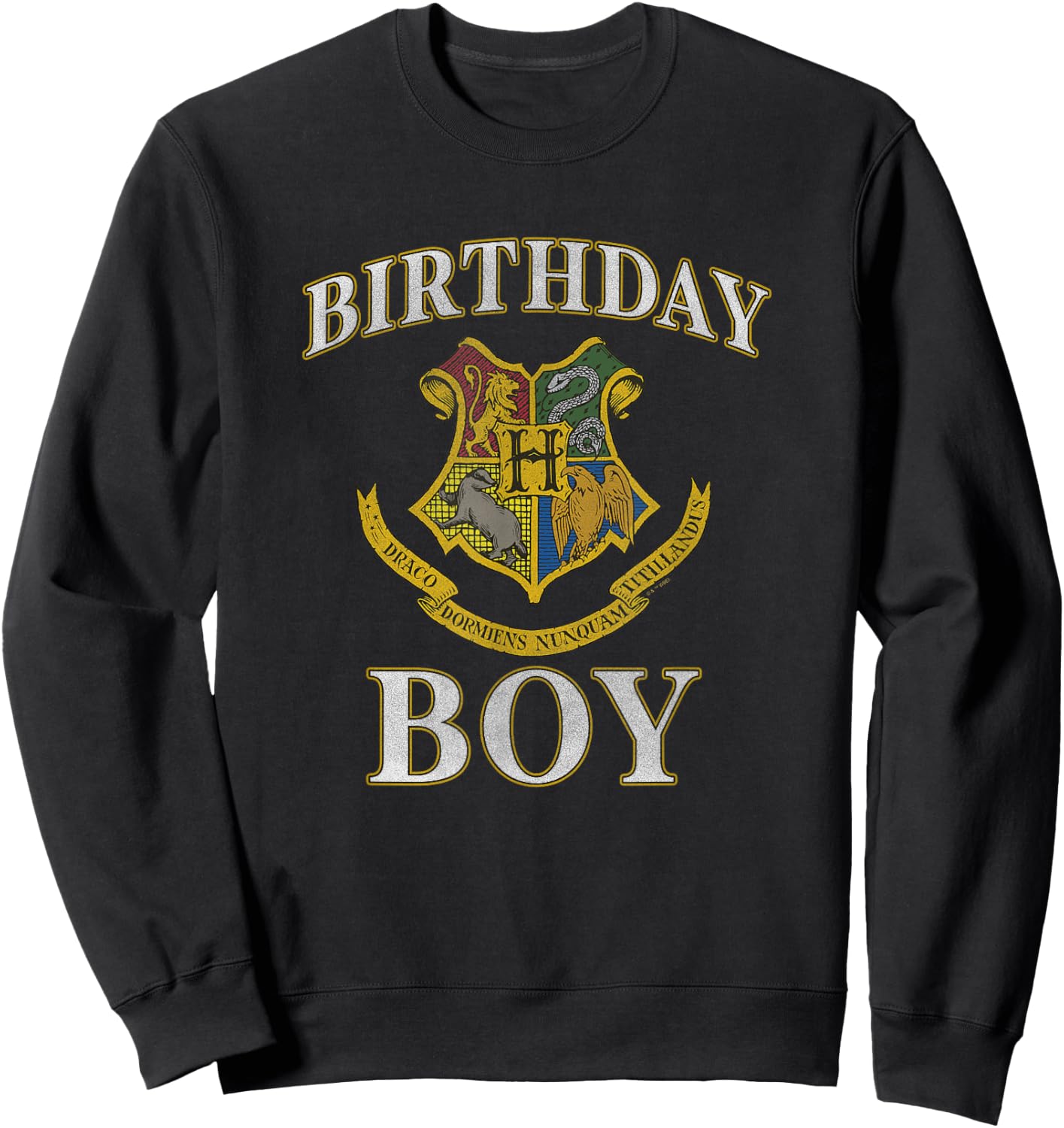 Harry Potter Birthday Boy Hogwarts Iconic Emblem Logo Sweatshirt - Sweatshirt | Black