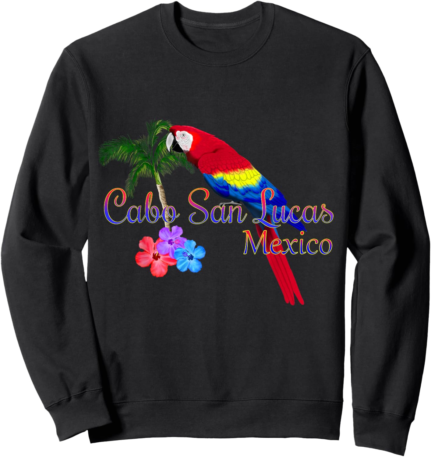 Cabo San Lucas Mexico Baja Souvenir Sweatshirt - Sweatshirt | Black