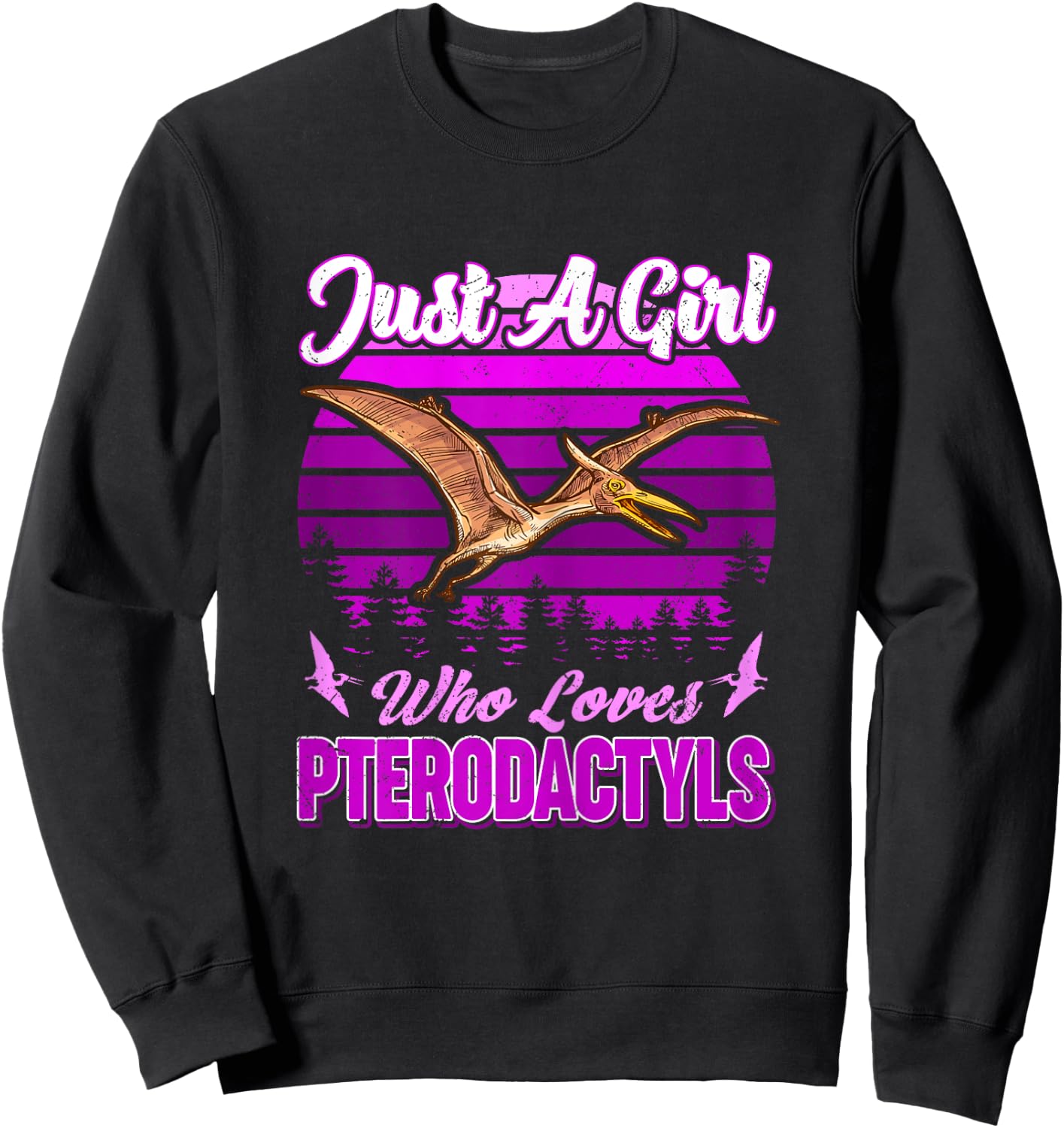 Just A Girl Who Loves Pterodactyls Dinosaur Bird Lover Retro Sweatshirt - Sweatshirt | Black