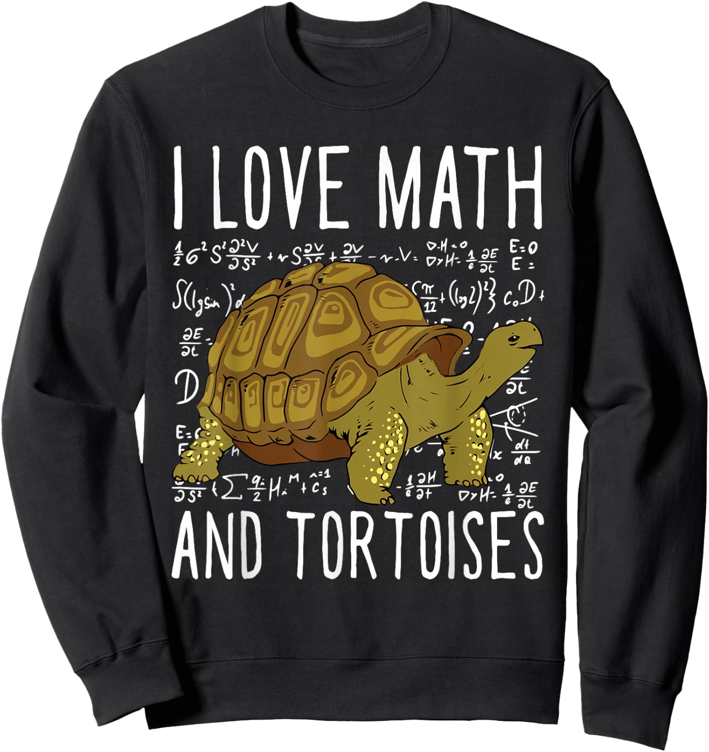 I Love Math And Tortoises Funny Kids School Turtle Sweatshirt - Sweatshirt | Black