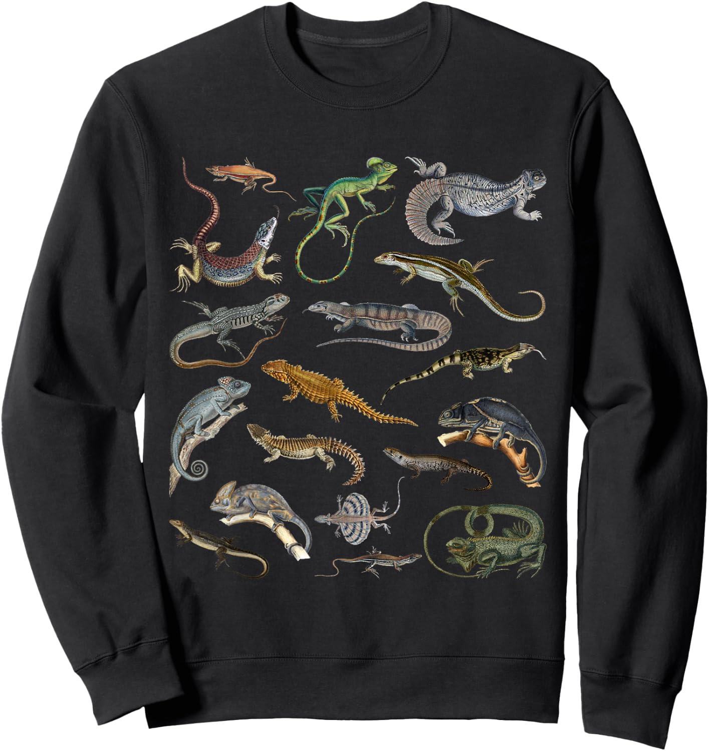 Lizards Collage Reptile Types Of Lizards Cool Lizards Lover Sweatshirt - Sweatshirt | Black