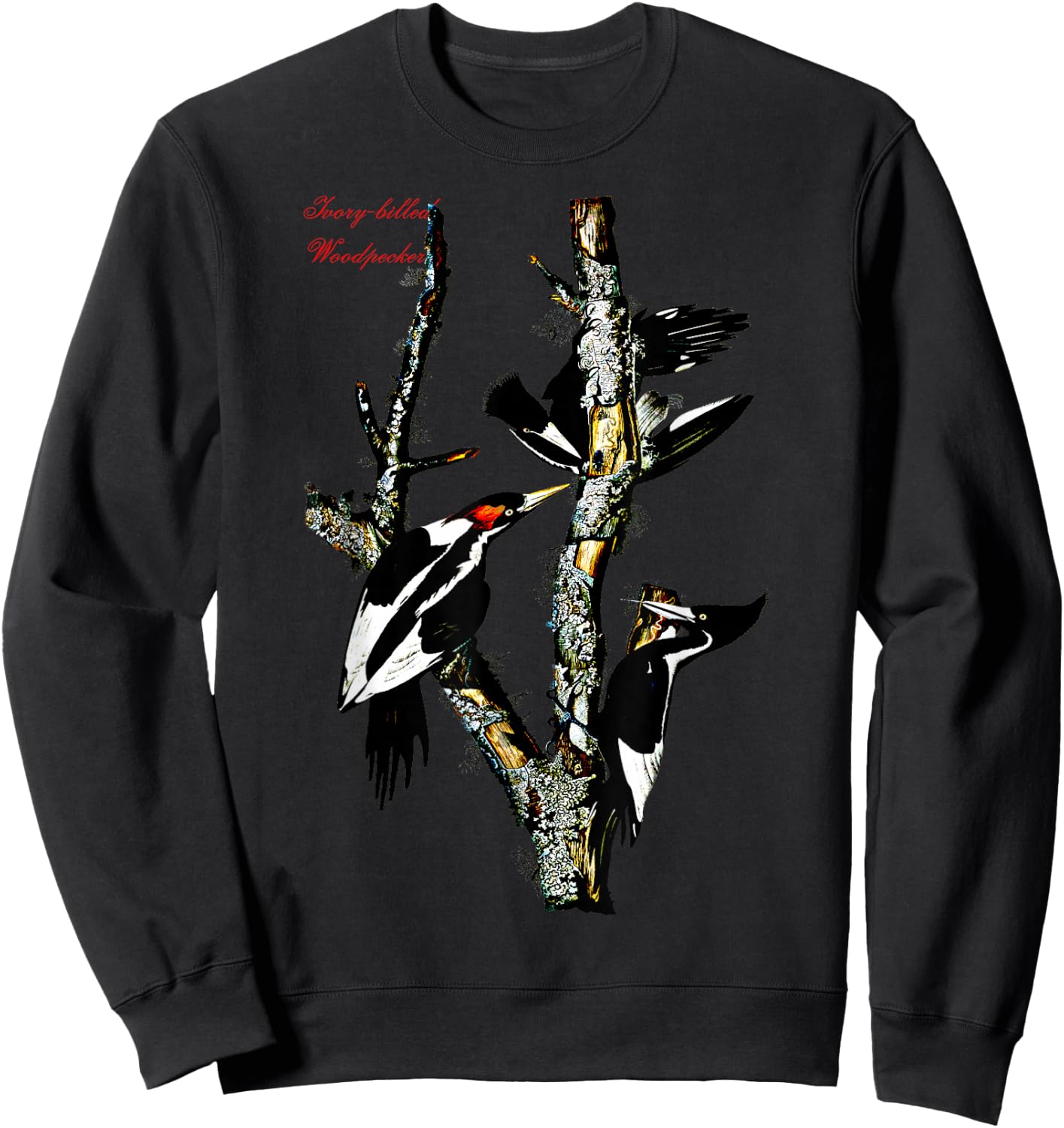 Audubon Ivory-billed Woodpecker North American Birds Sweatshirt - Sweatshirt | Black