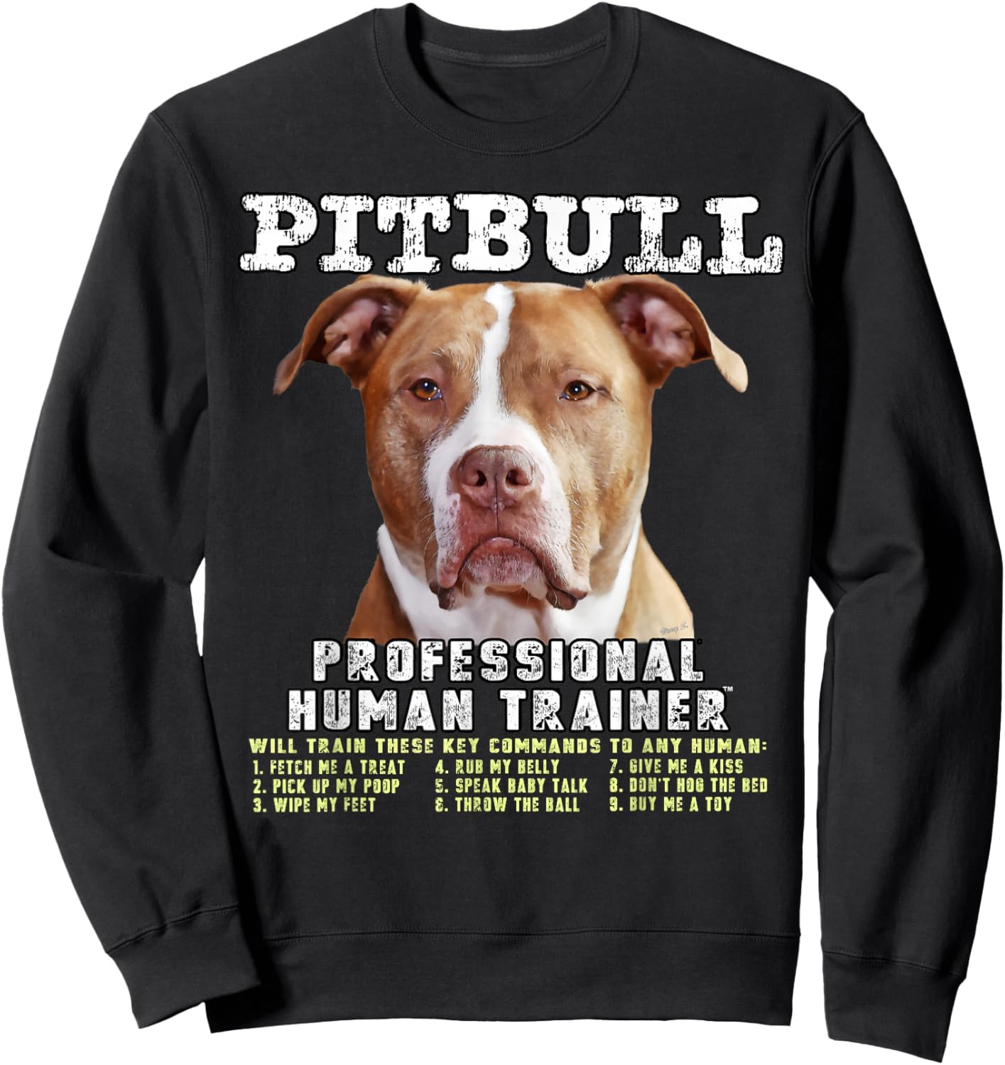 Pitbull Pit Bull Pittie Owner Professional Human Trainer Sweatshirt - Sweatshirt | Black