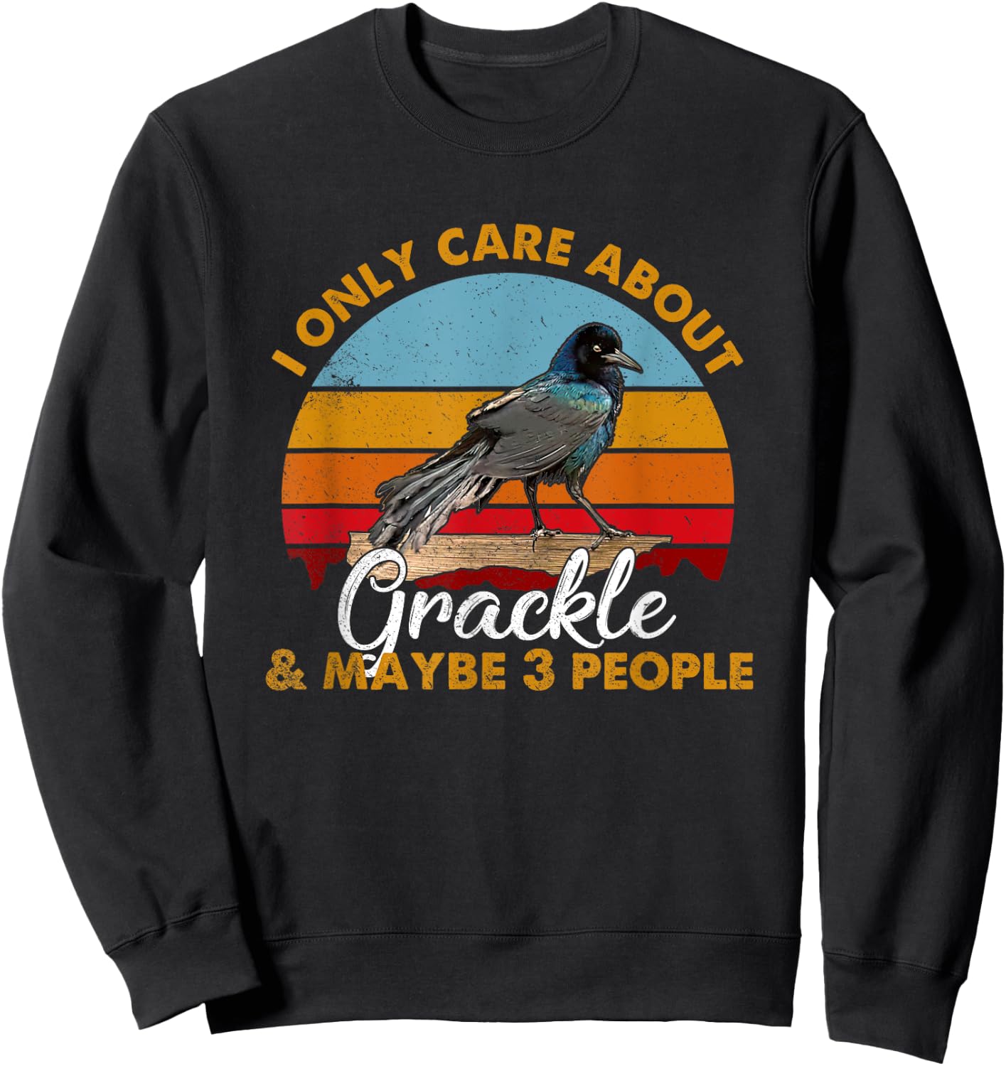 Retro Style Sunset Grackle Sweatshirt - Sweatshirt | Black