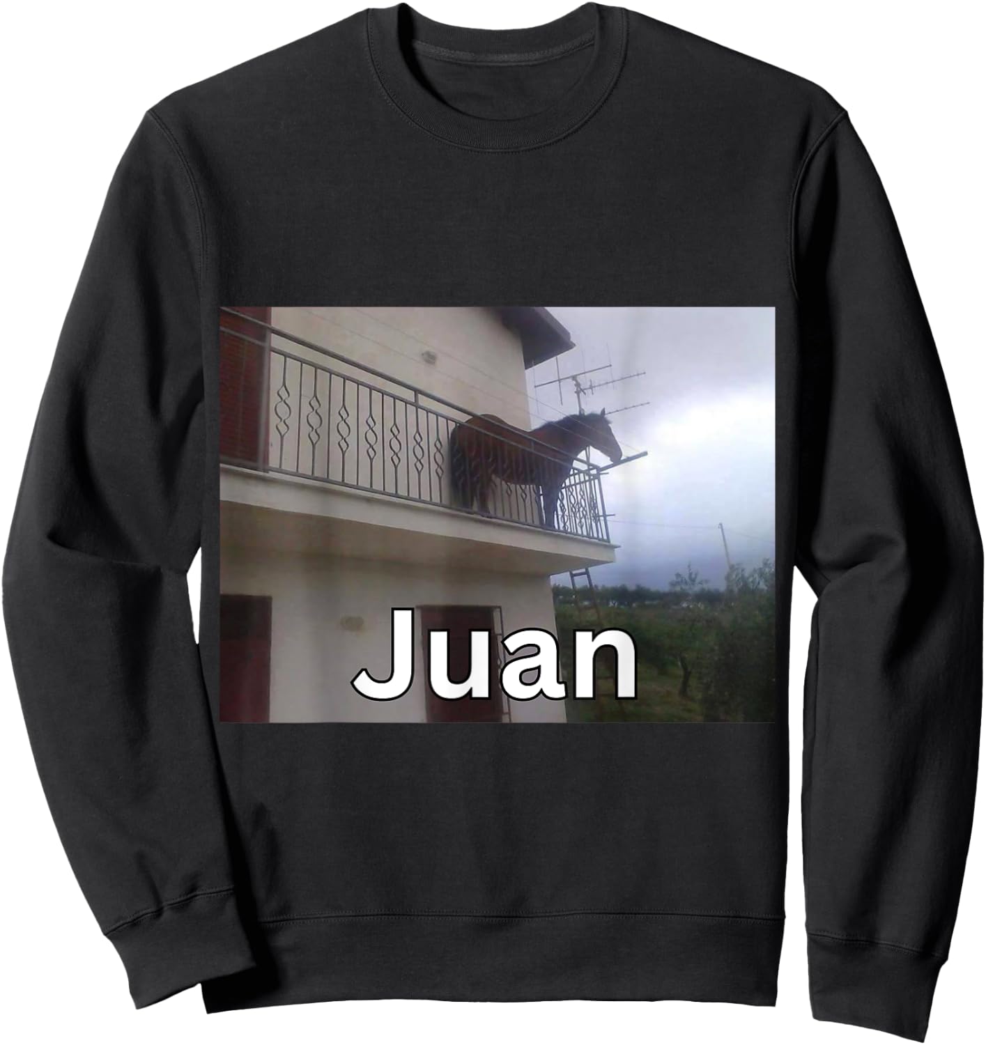 Funny Juan Horse on Balcony Meme Sweatshirt - Sweatshirt | Black