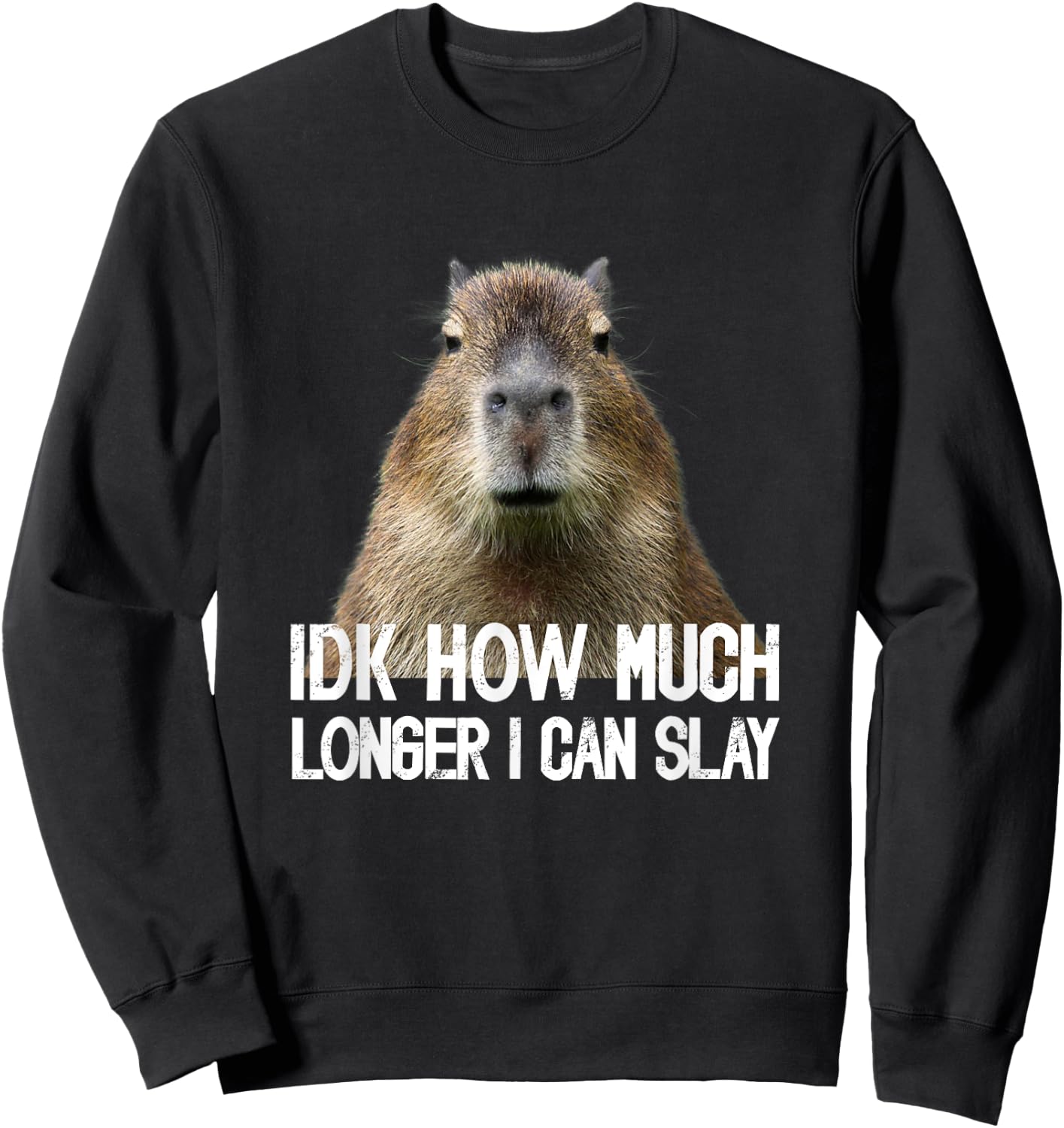 Idk How Much Longer I Can Slay Capybara Sarcastic Dank Meme Sweatshirt - Sweatshirt | Black