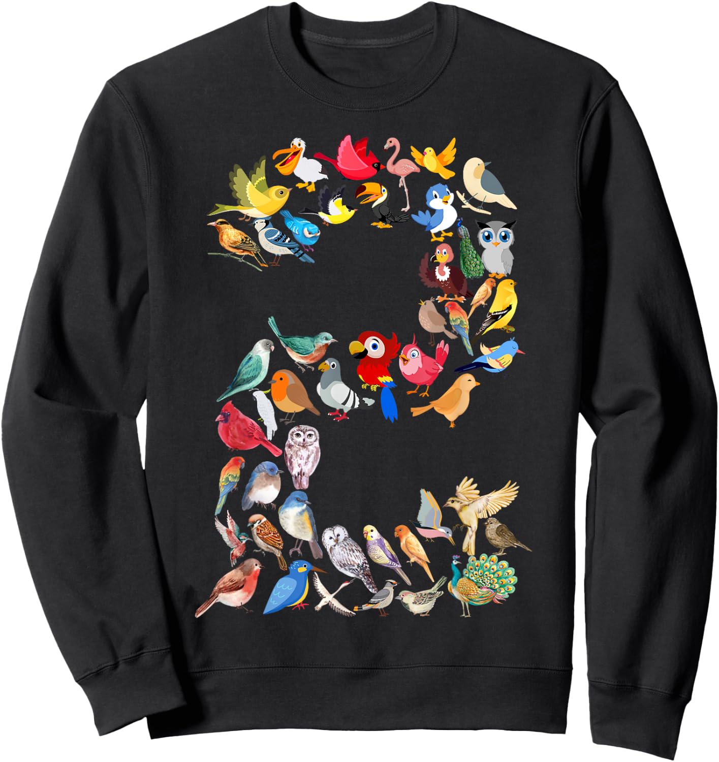 Toddler 2nd Birthday Birds Themed 2 Year Old Kids Bird Lover Sweatshirt - Sweatshirt | Black