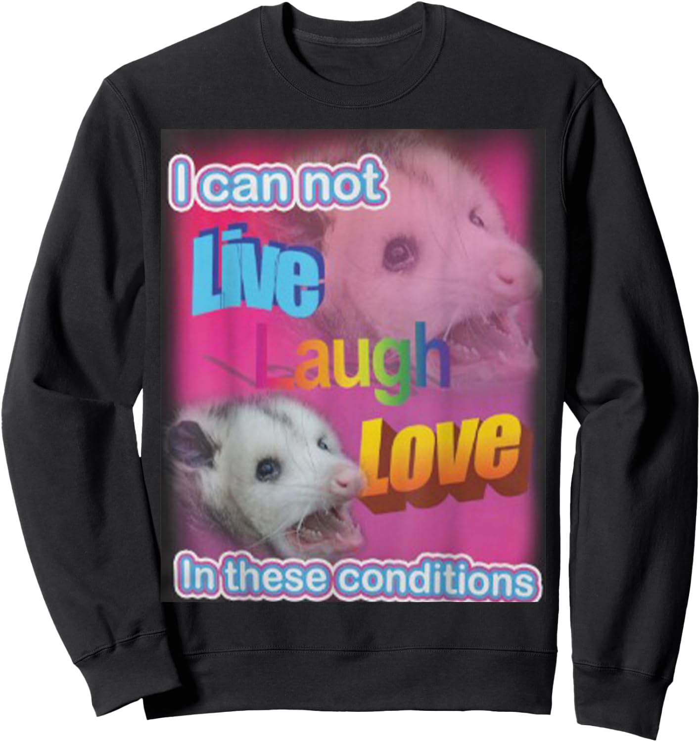 I can not live laugh love in these conditions Raccoon Sweatshirt - Sweatshirt | Black