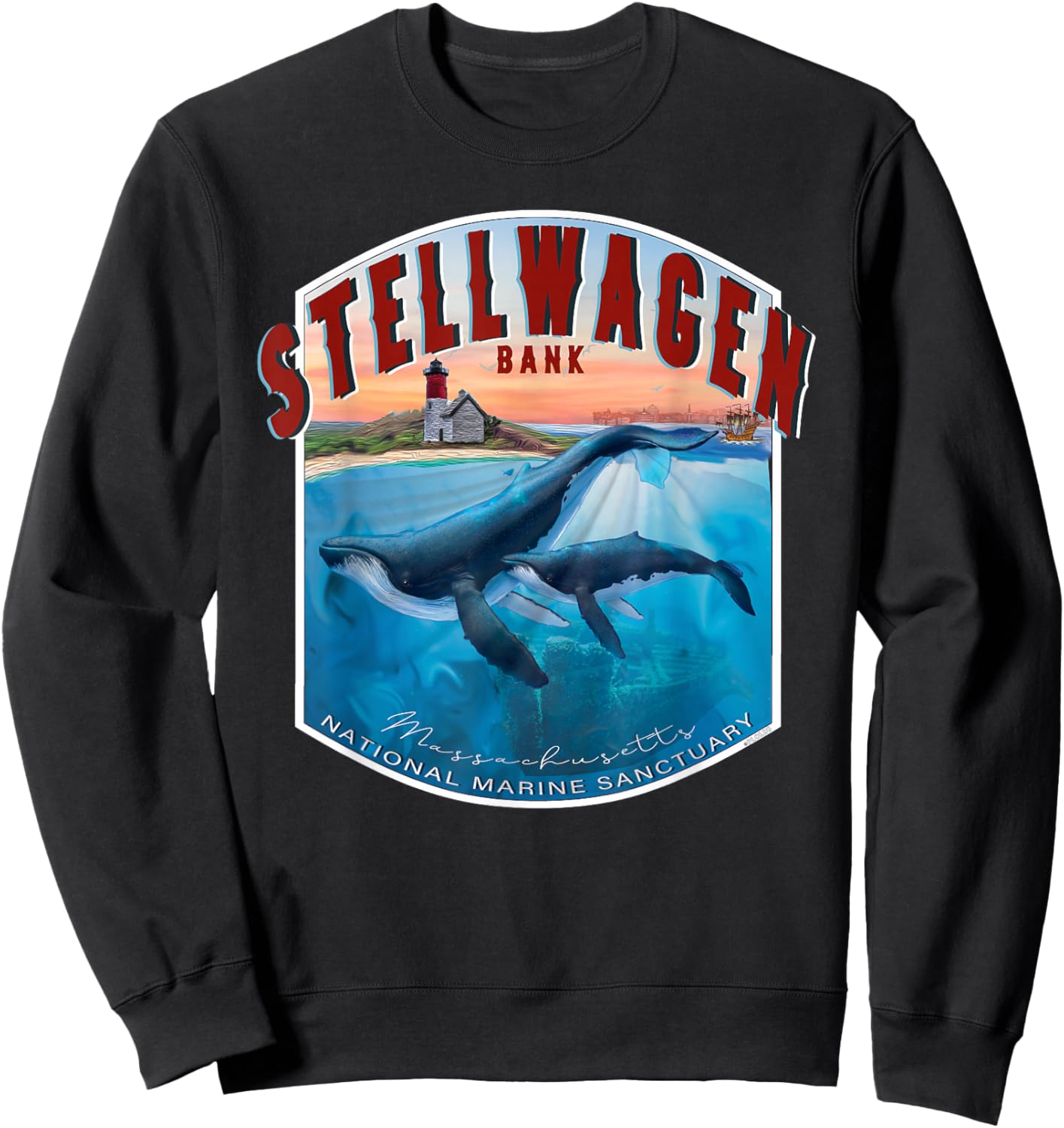 Stellwagen Banks National Marine Sanctuary Atlantic Coast Sweatshirt - Sweatshirt | Black