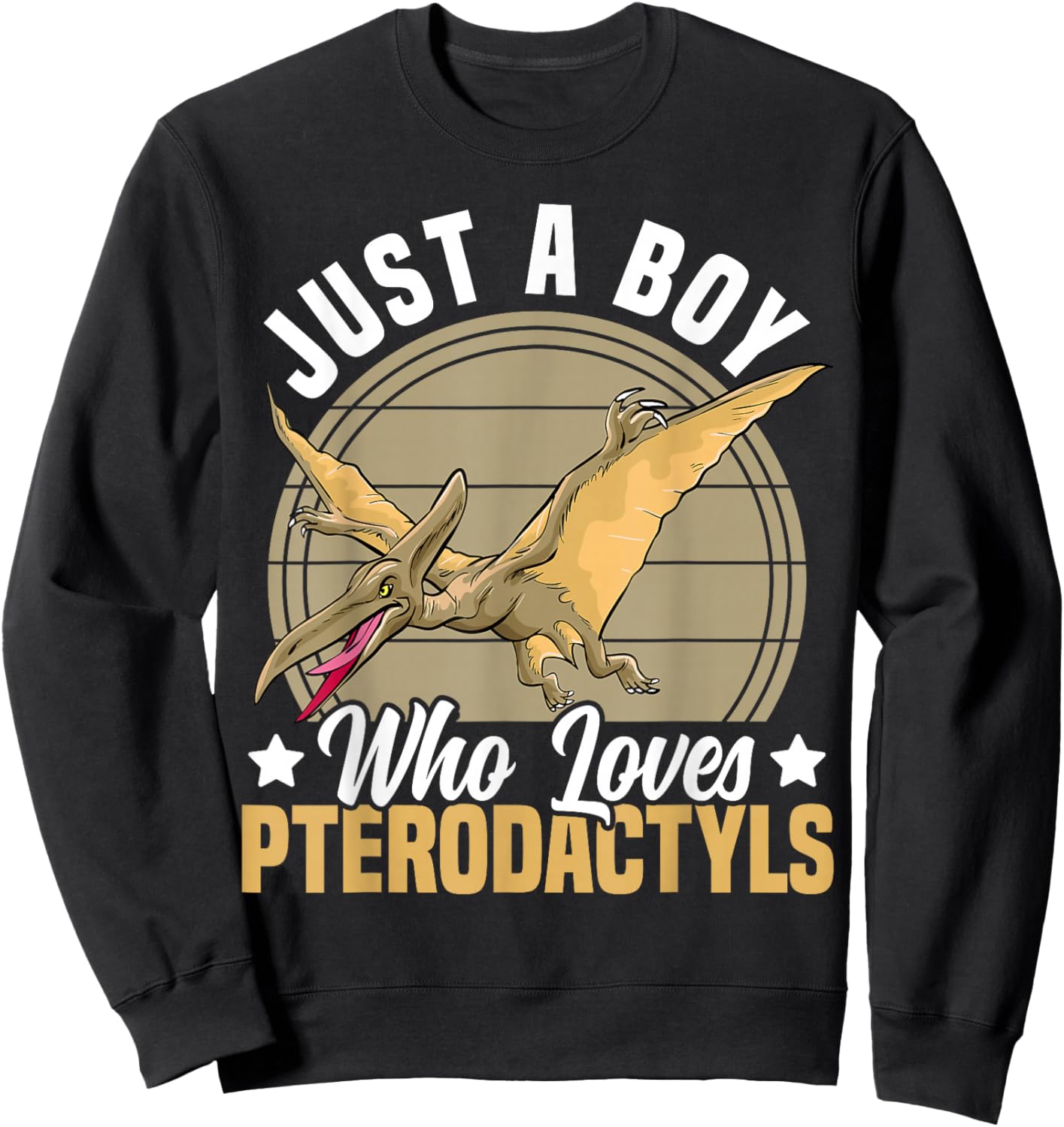 Just A Boy Who Loves Pterodactyls Dinosaur Lover Boys Dino Sweatshirt - Sweatshirt | Black
