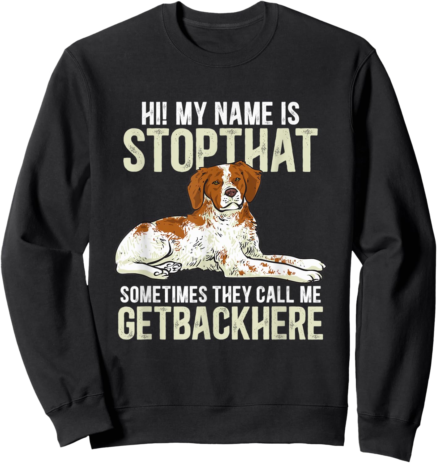 Brittany Spaniel Funny Brittany Dog Sweatshirt - Sweatshirt | Black