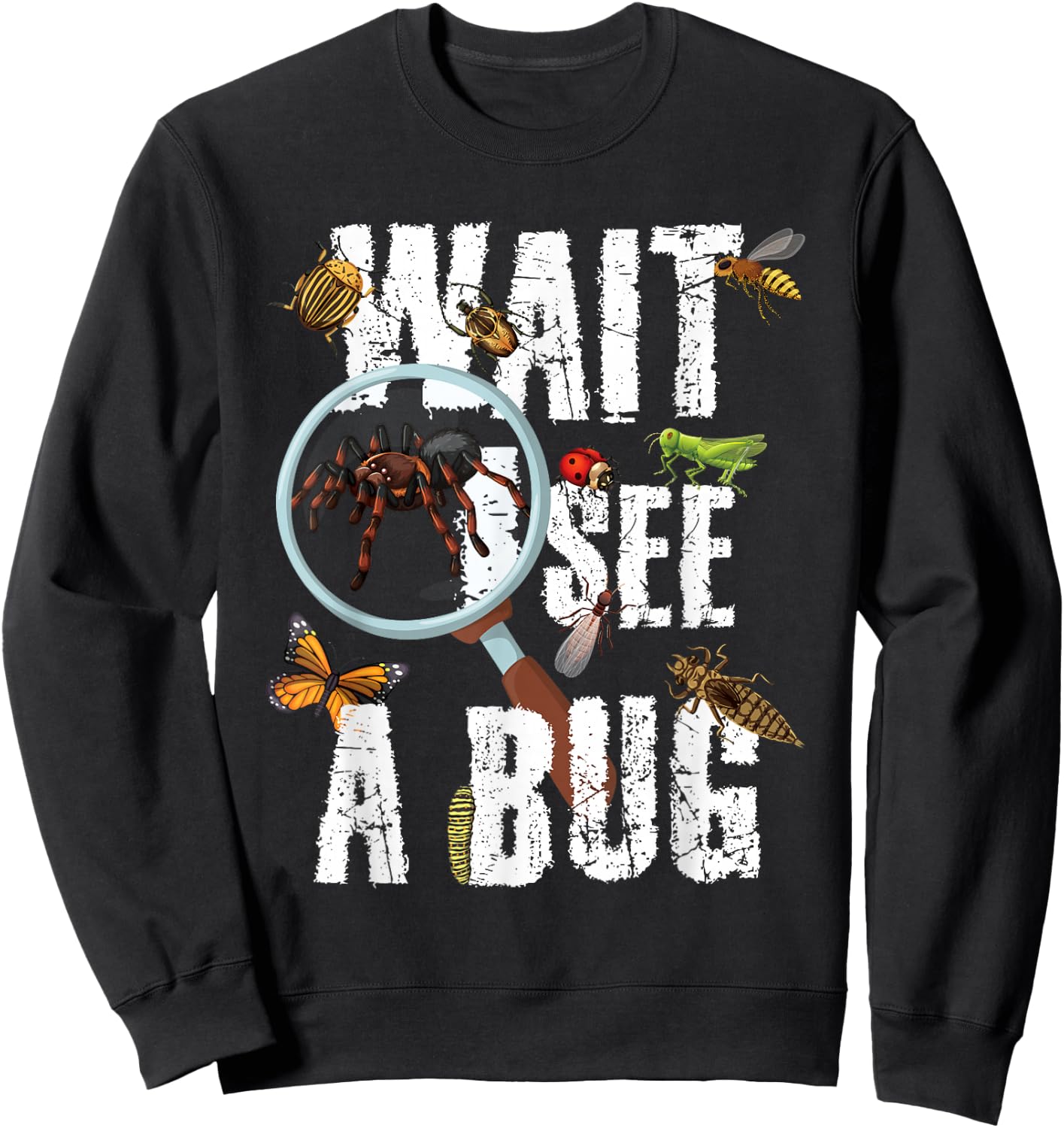 Insects of The World Bug Lover Expert Entomologist Bugs Fan Sweatshirt - Sweatshirt | Black