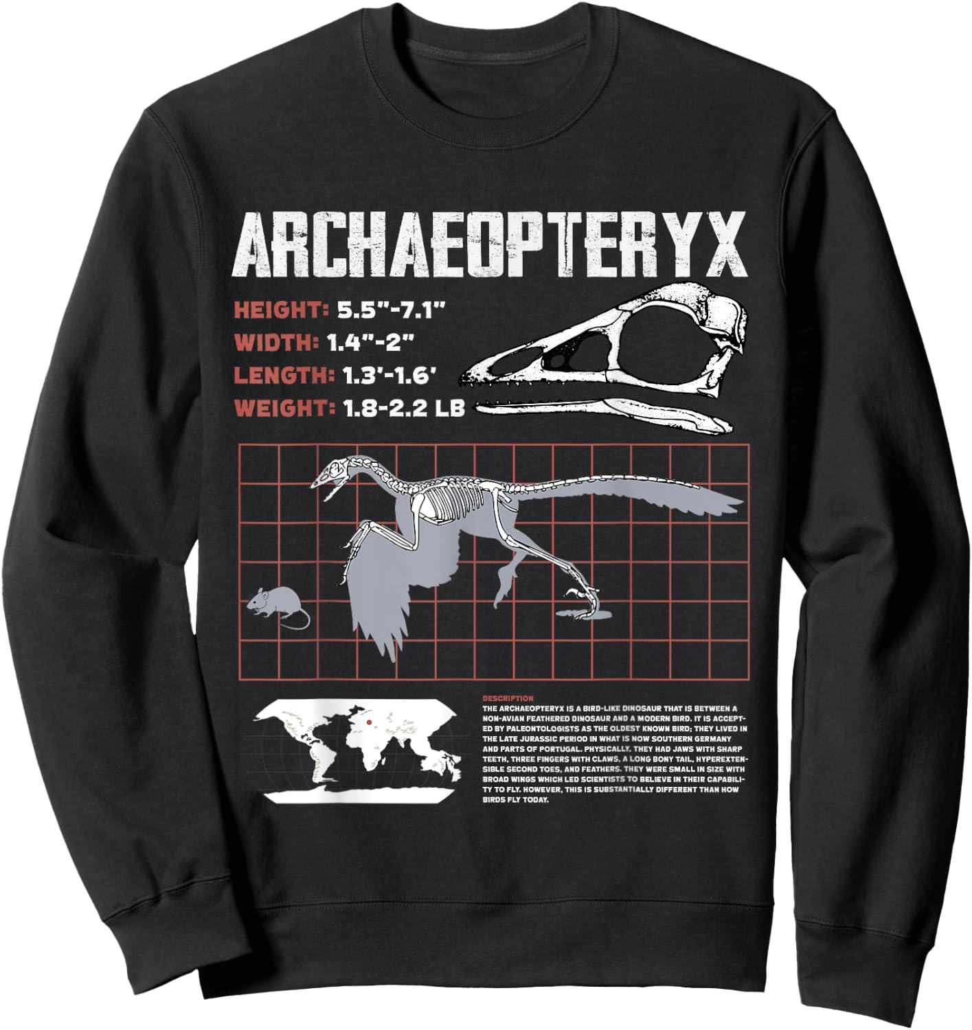 Archaeopteryx Dinosaur Facts Sheet Fossils Data Sweatshirt - Sweatshirt | Black